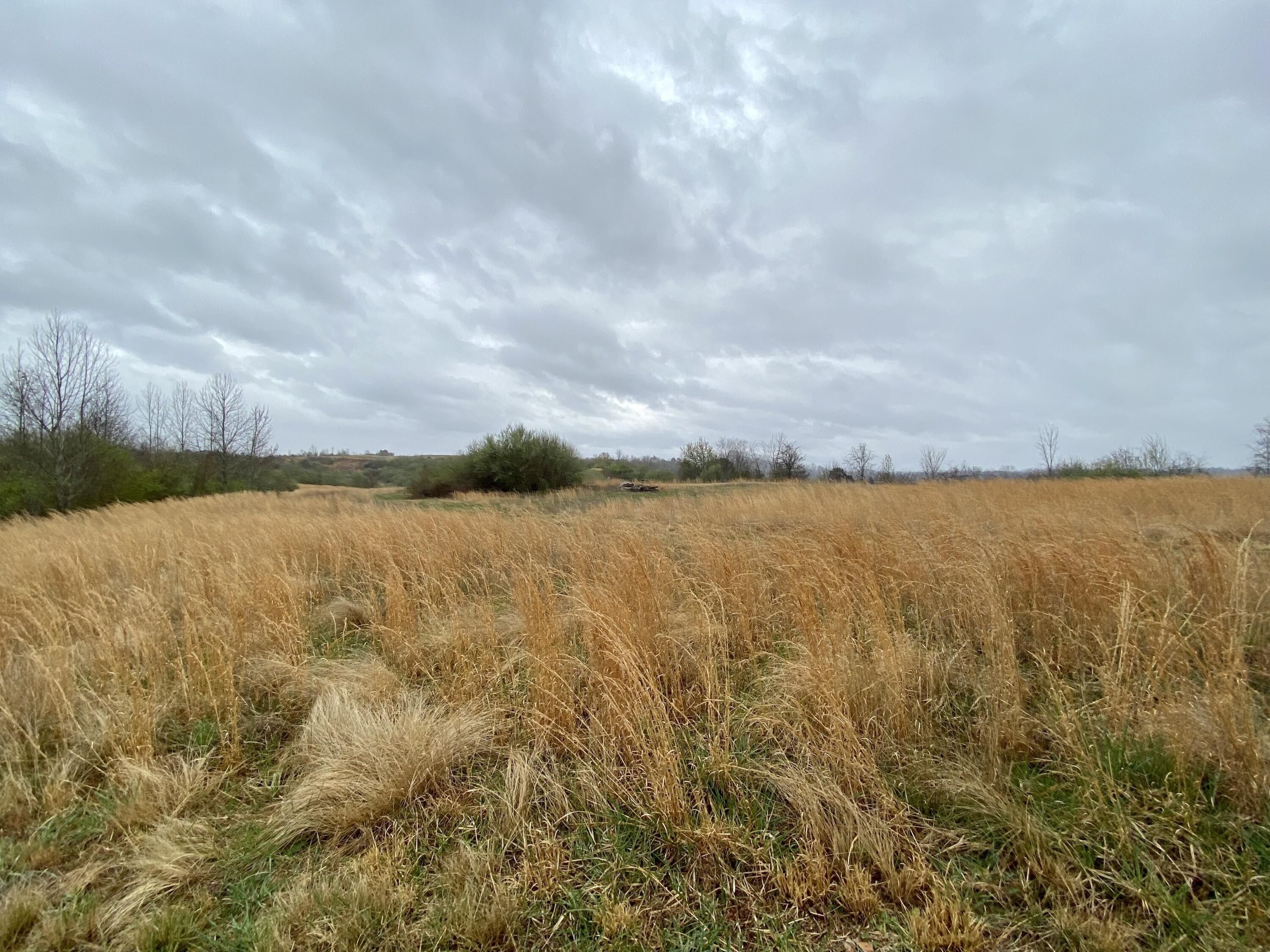 Hyden, Leslie County, KY Farms and Ranches for sale Property ID