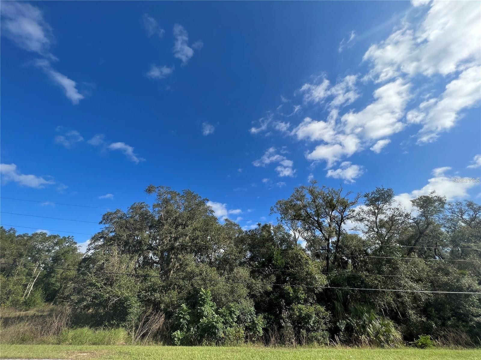 Mount Dora, Orange County, FL Farms and Ranches, Homesites for sale