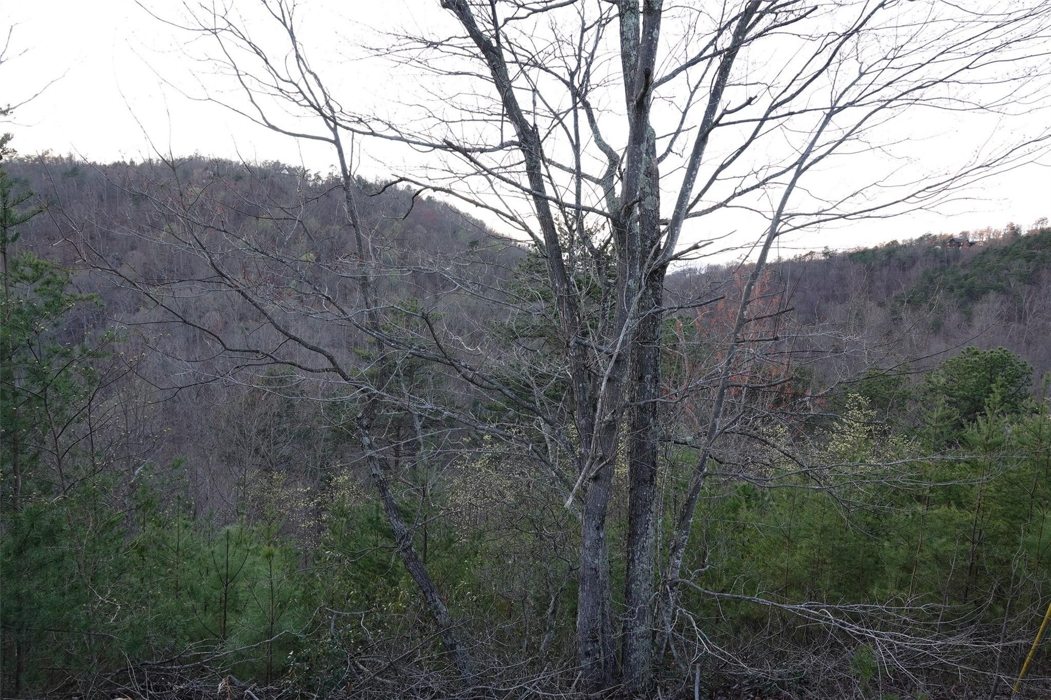 Bostic, Rutherford County, NC Farms and Ranches for sale Property ID