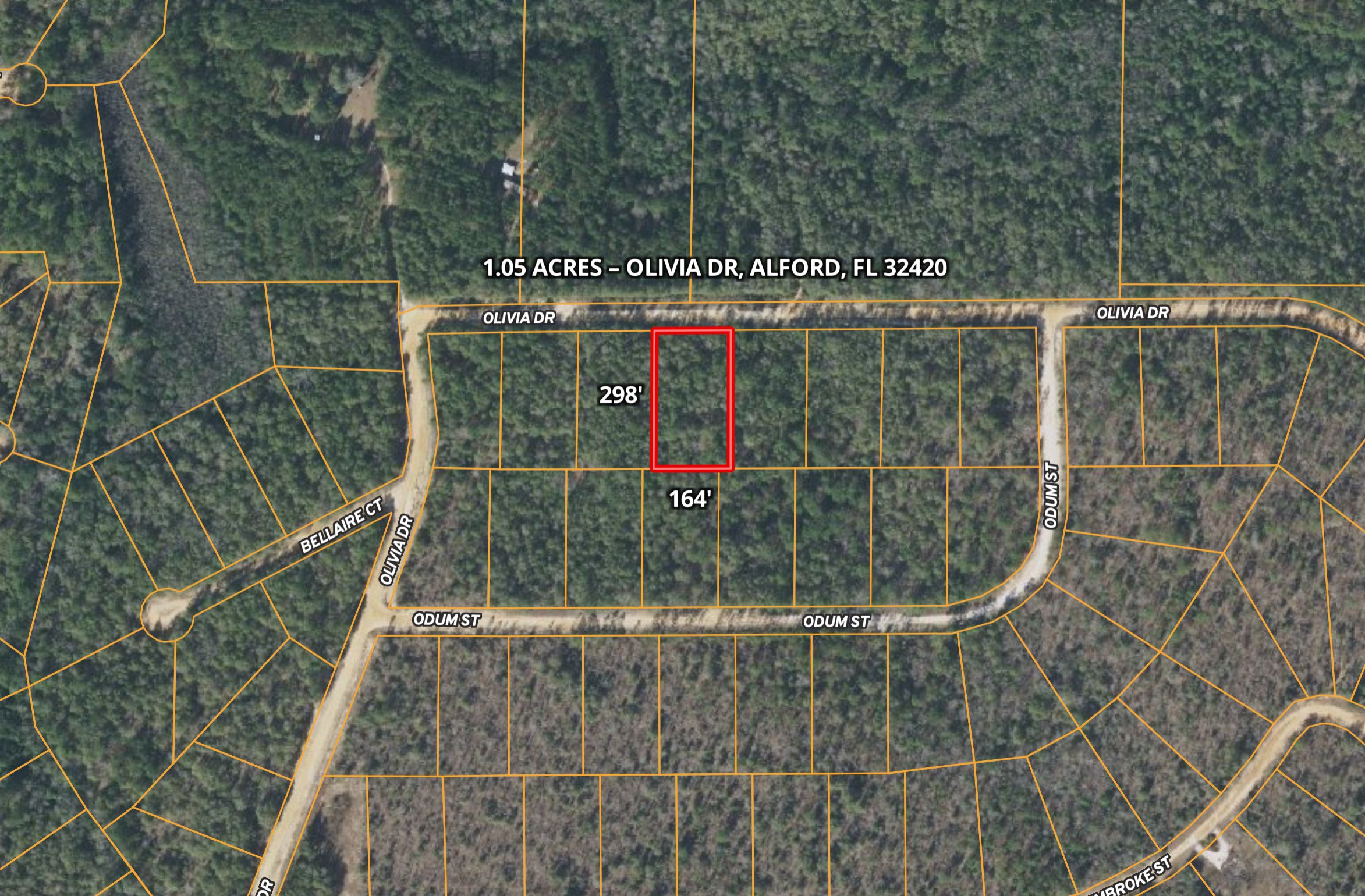 Alford, Jackson County, FL Recreational Property, Undeveloped Land