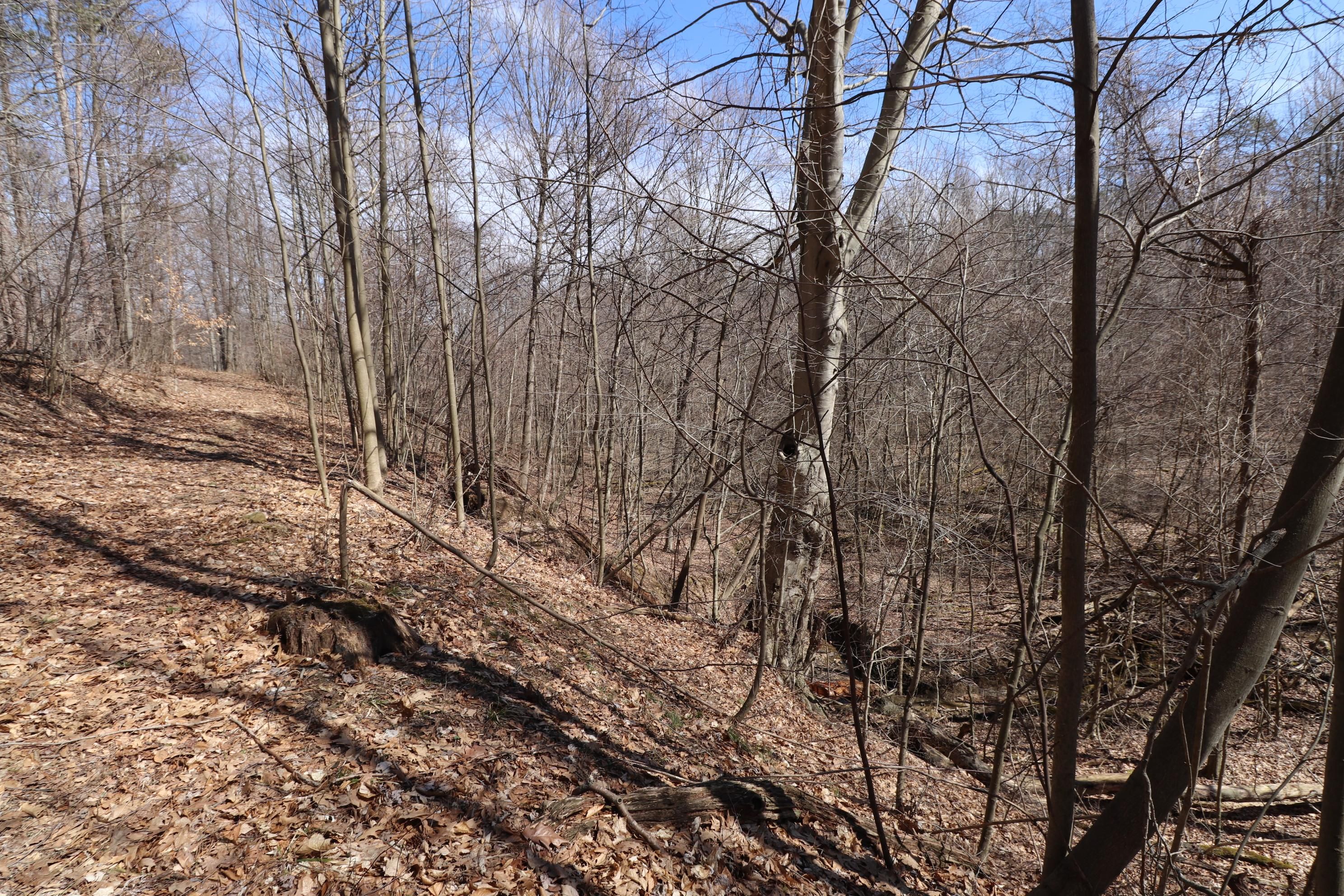 Mount Vernon, Knox County, OH Farms and Ranches, Recreational Property