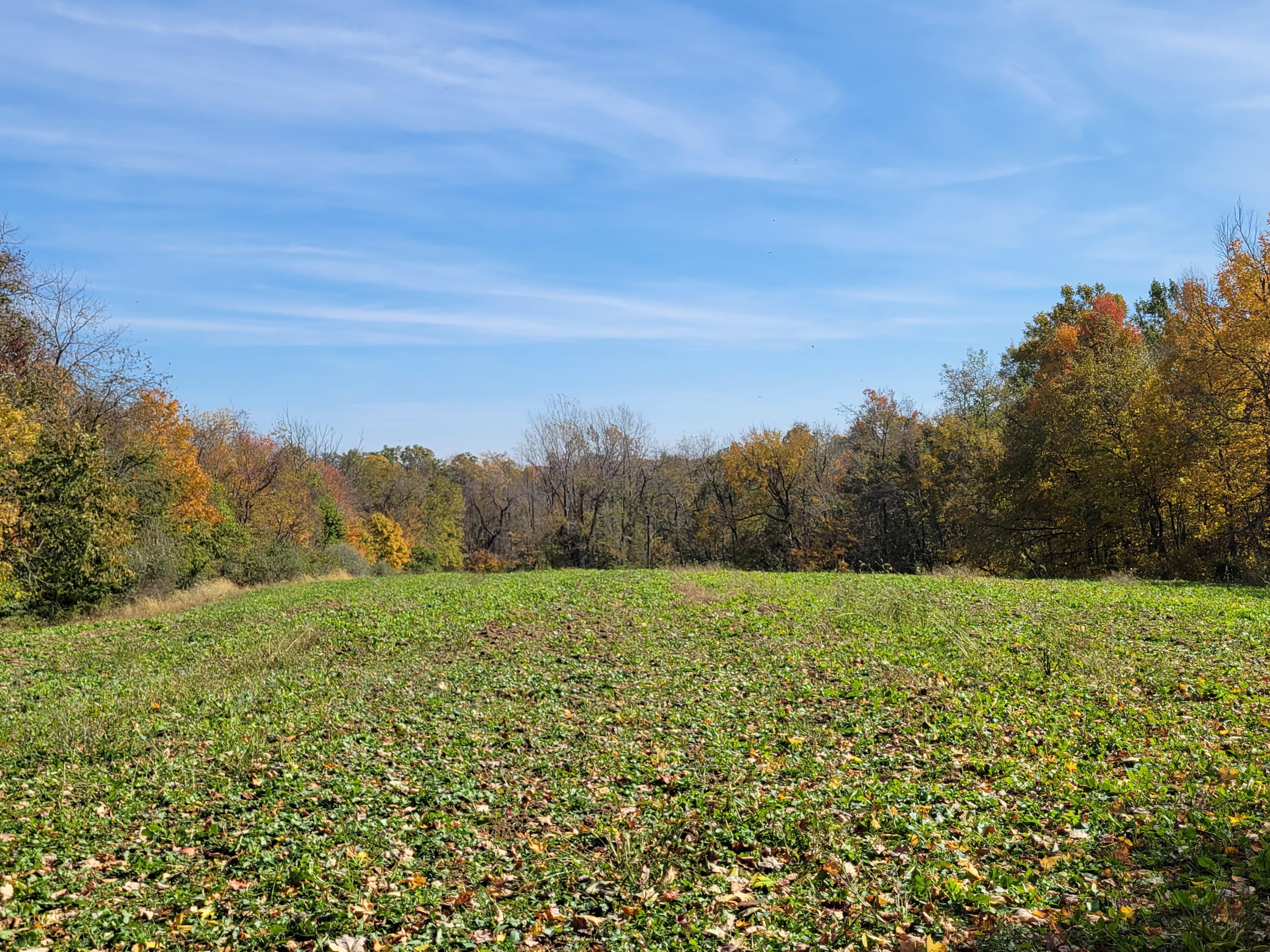 Mount Vernon, Knox County, OH Farms and Ranches, Recreational Property
