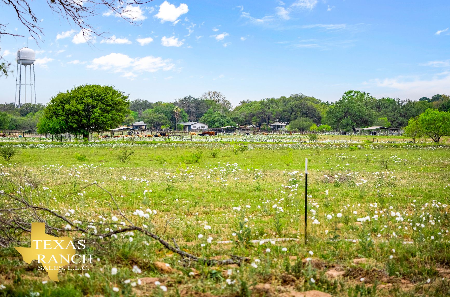 Devine, Medina County, TX Farms and Ranches, Hunting Property for sale