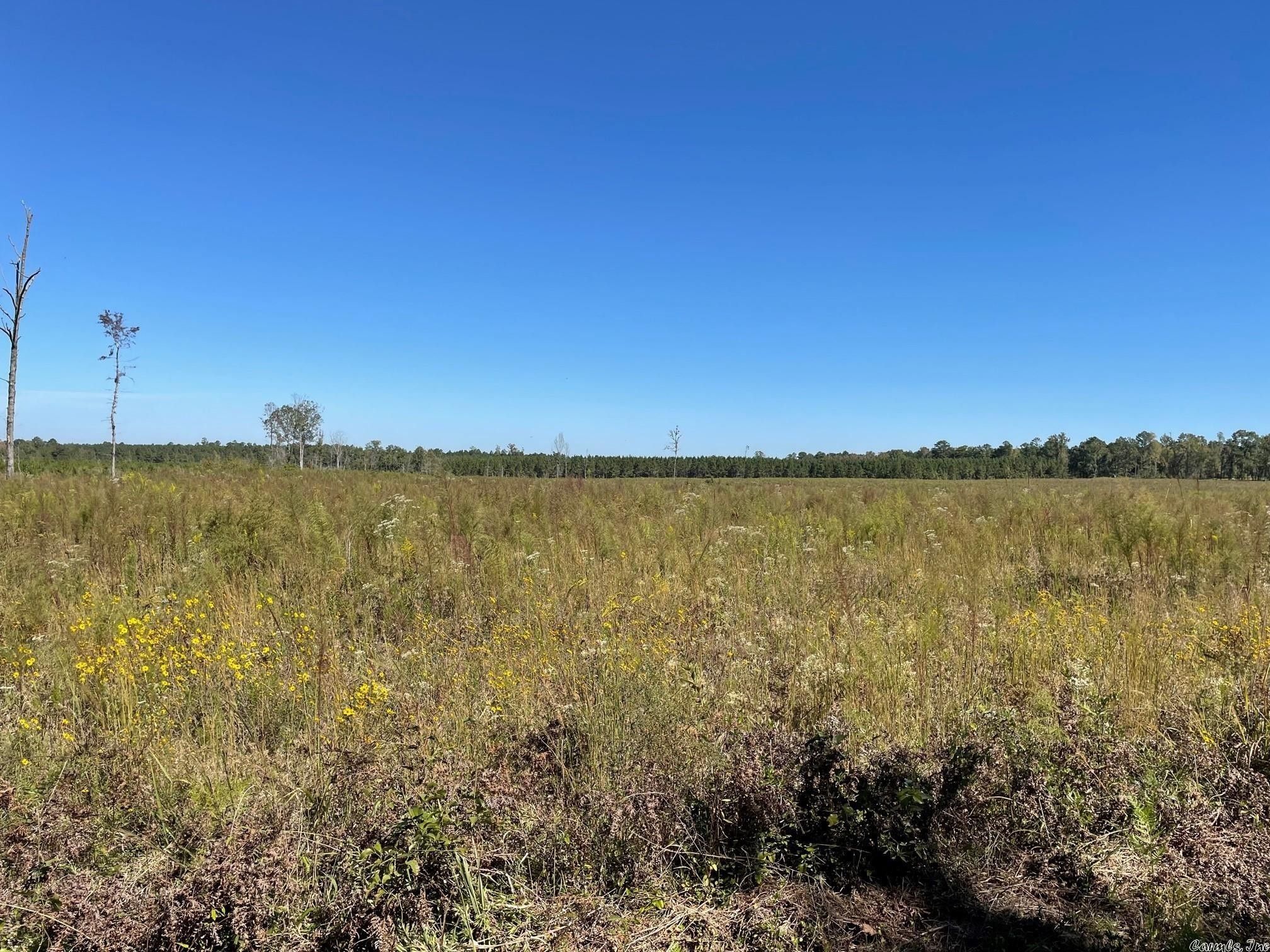 Grapevine, Grant County, AR Undeveloped Land for sale Property ID