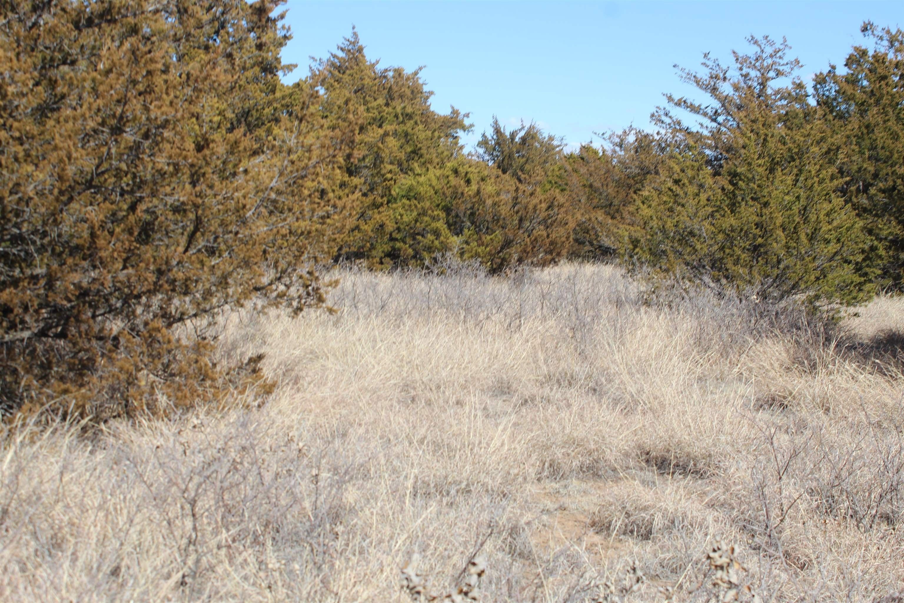 Vici, Dewey County, OK Farms and Ranches for sale Property ID 416089862 LandWatch