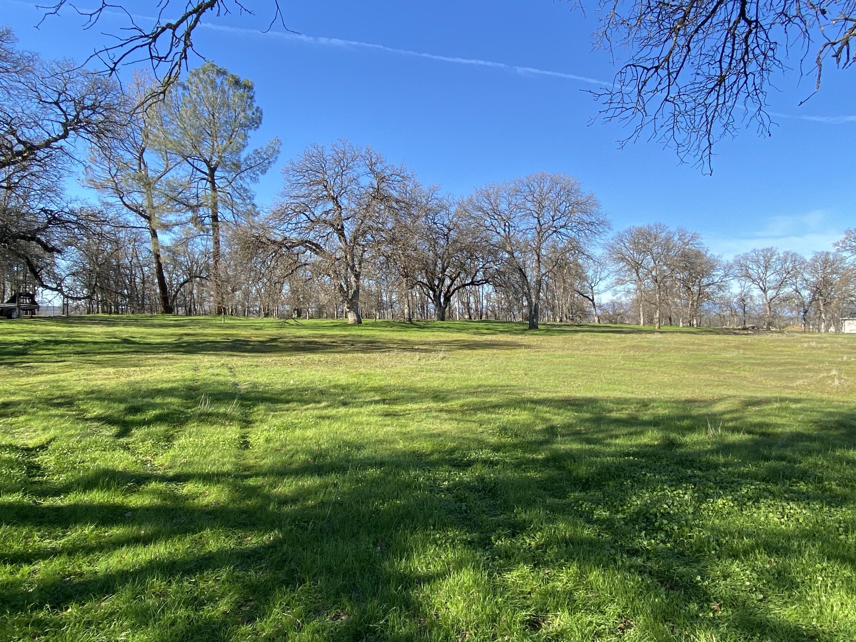 Palo Cedro, Shasta County, CA Farms and Ranches for sale Property ID