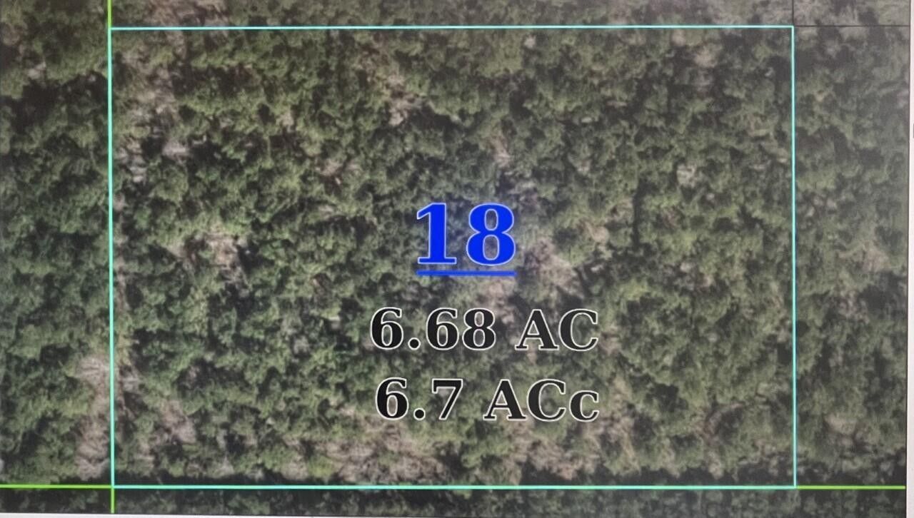 Heidelberg, Jasper County, MS Undeveloped Land for sale Property ID