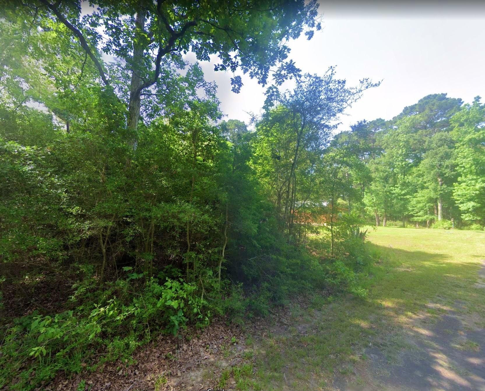 Livingston, Polk County, TX Recreational Property, Undeveloped Land