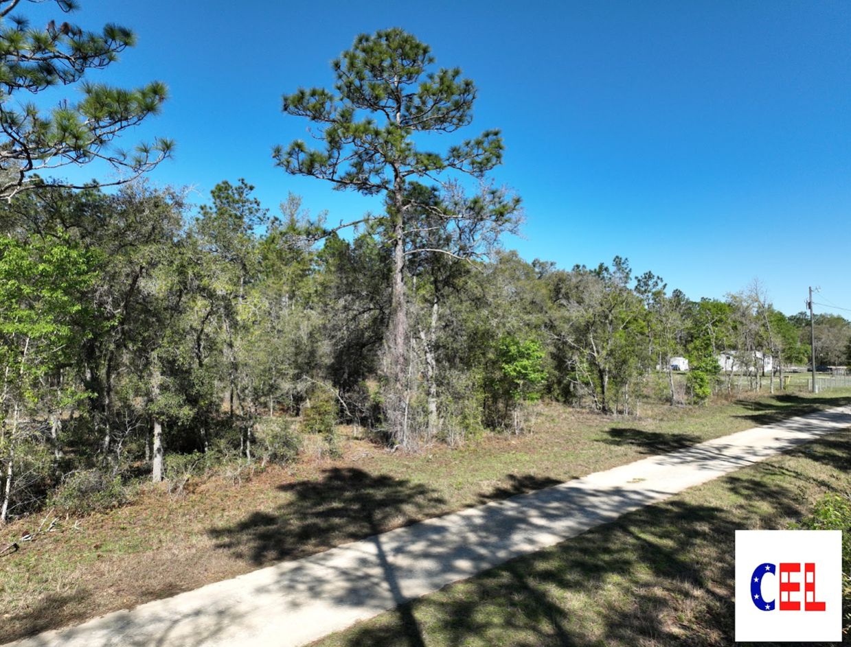 Williston, Levy County, FL Undeveloped Land, Homesites for sale