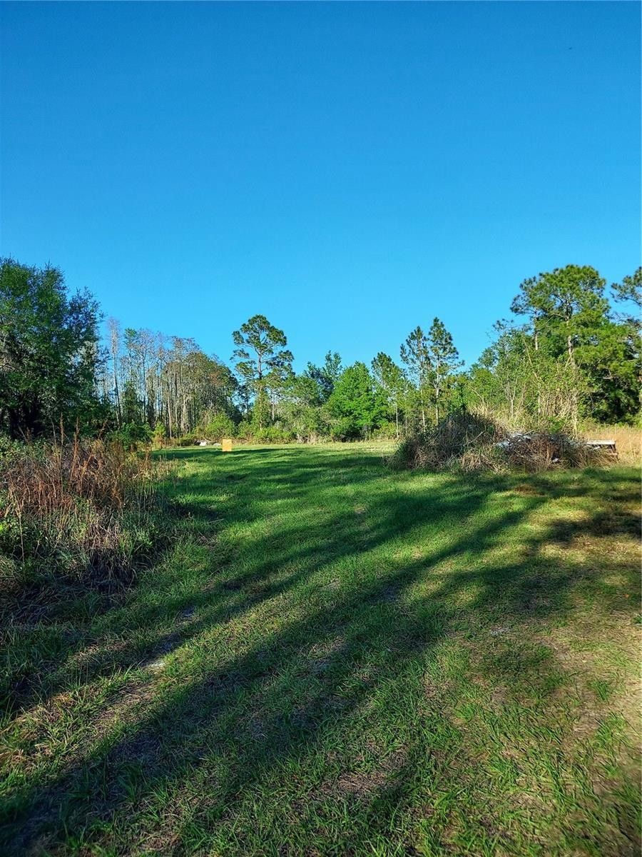Geneva, Seminole County, FL Undeveloped Land for sale Property ID 416093628 LandWatch
