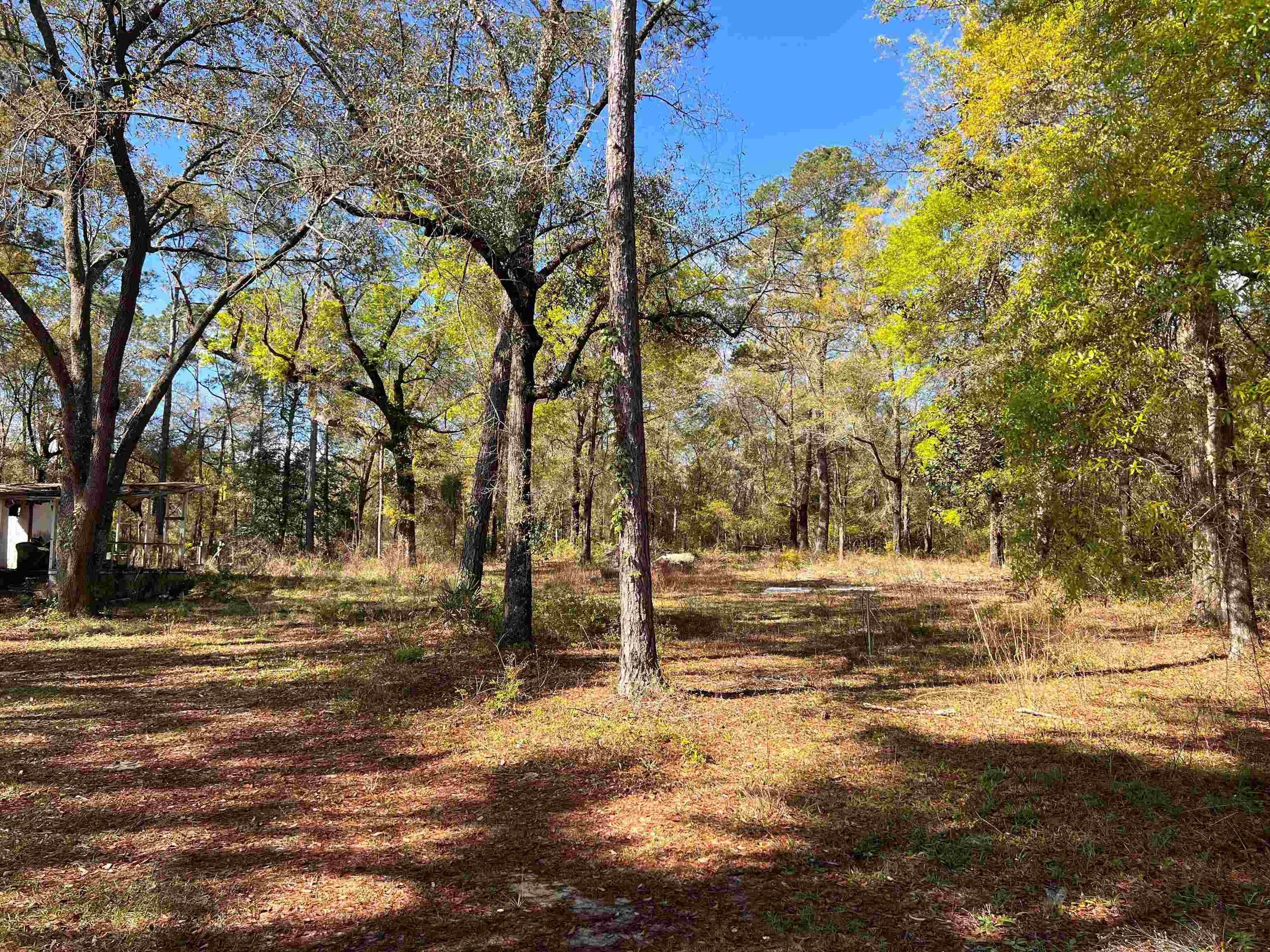 Telogia, Liberty County, FL Farms and Ranches for sale Property ID
