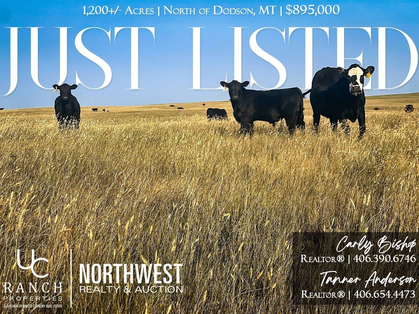 Dodson, Phillips County, MT Farms and Ranches for sale Property ID 416094418 LandWatch