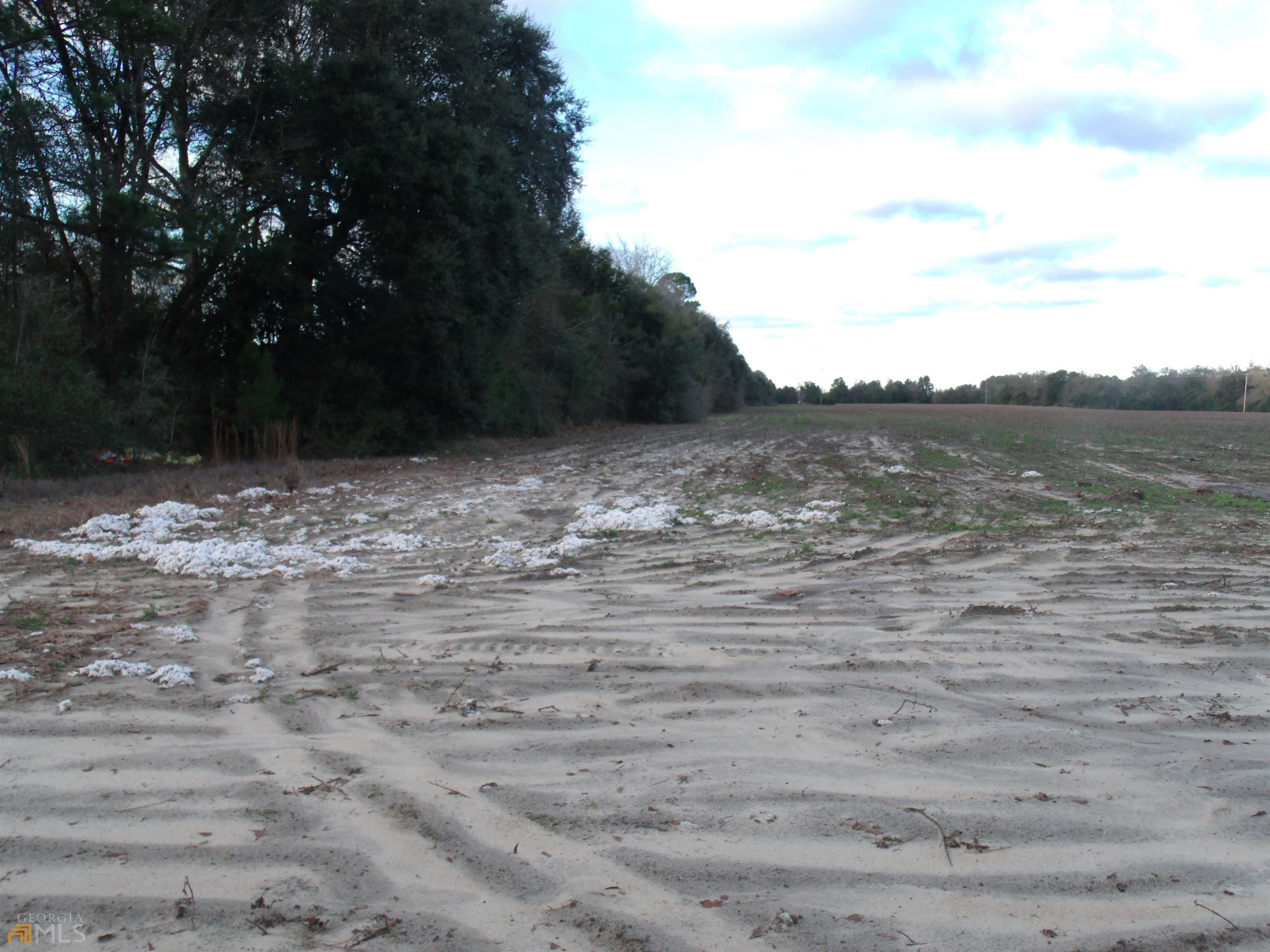 Sylvania, Screven County, GA Undeveloped Land for sale Property ID