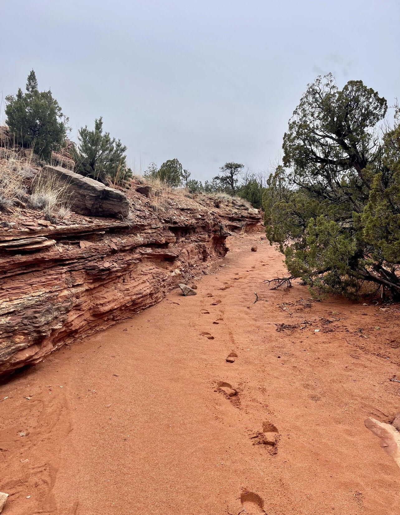 Jemez Pueblo, Sandoval County, NM Undeveloped Land for sale Property ID