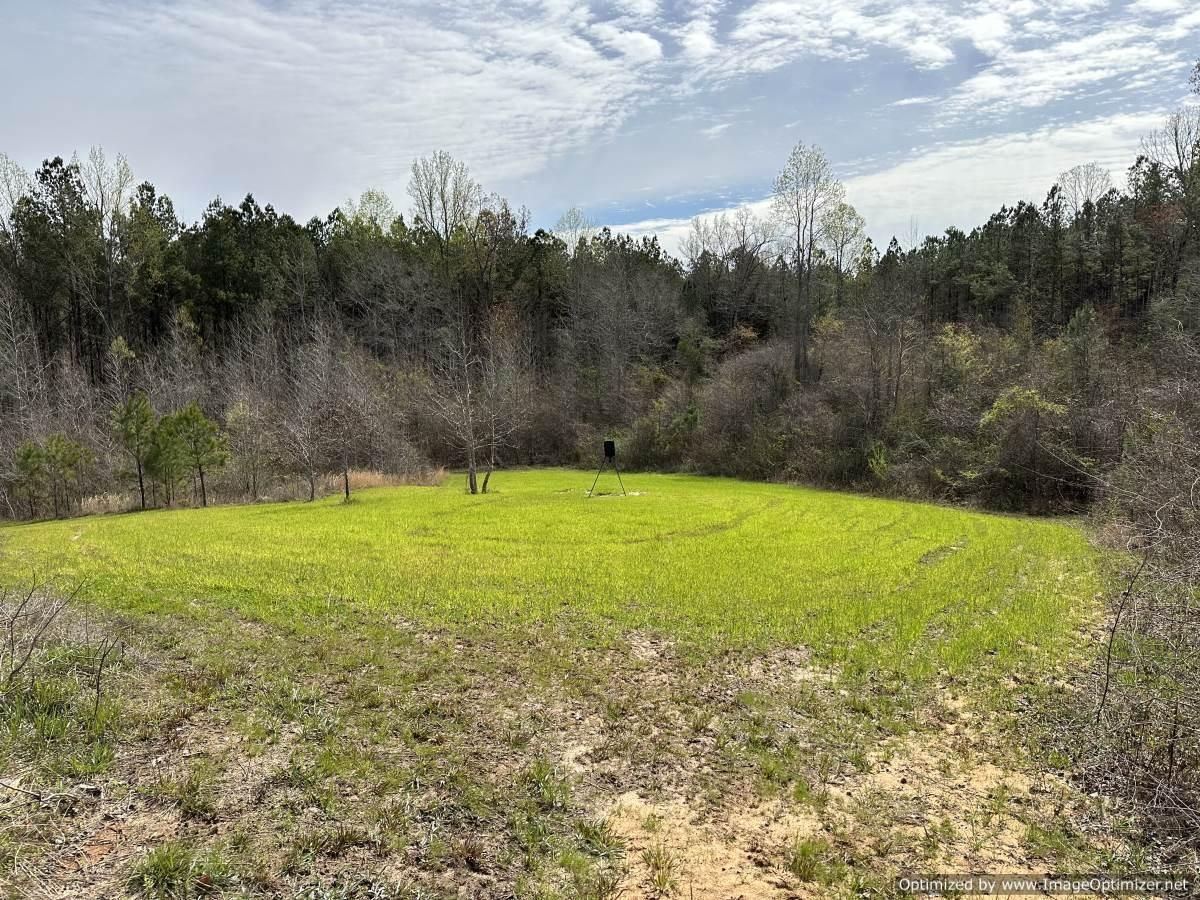 Kosciusko, Attala County, MS Recreational Property, Timberland Property
