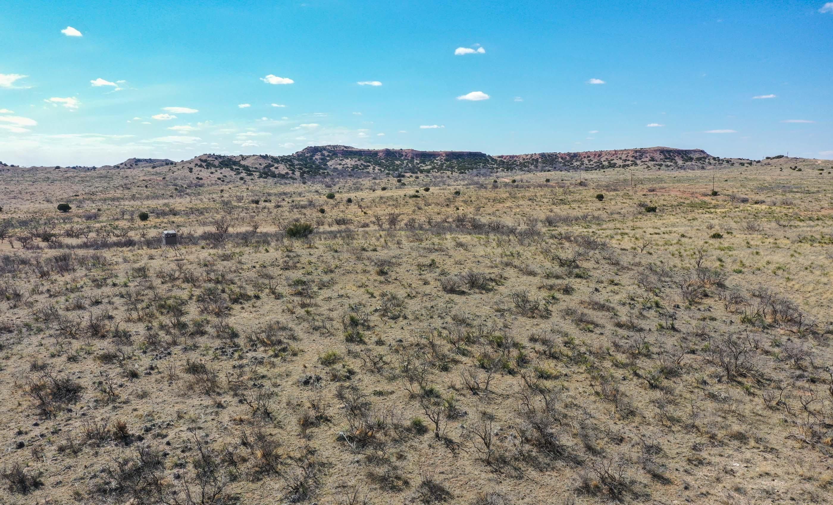 Ralls, Crosby County, TX Farms and Ranches, Hunting Property for sale