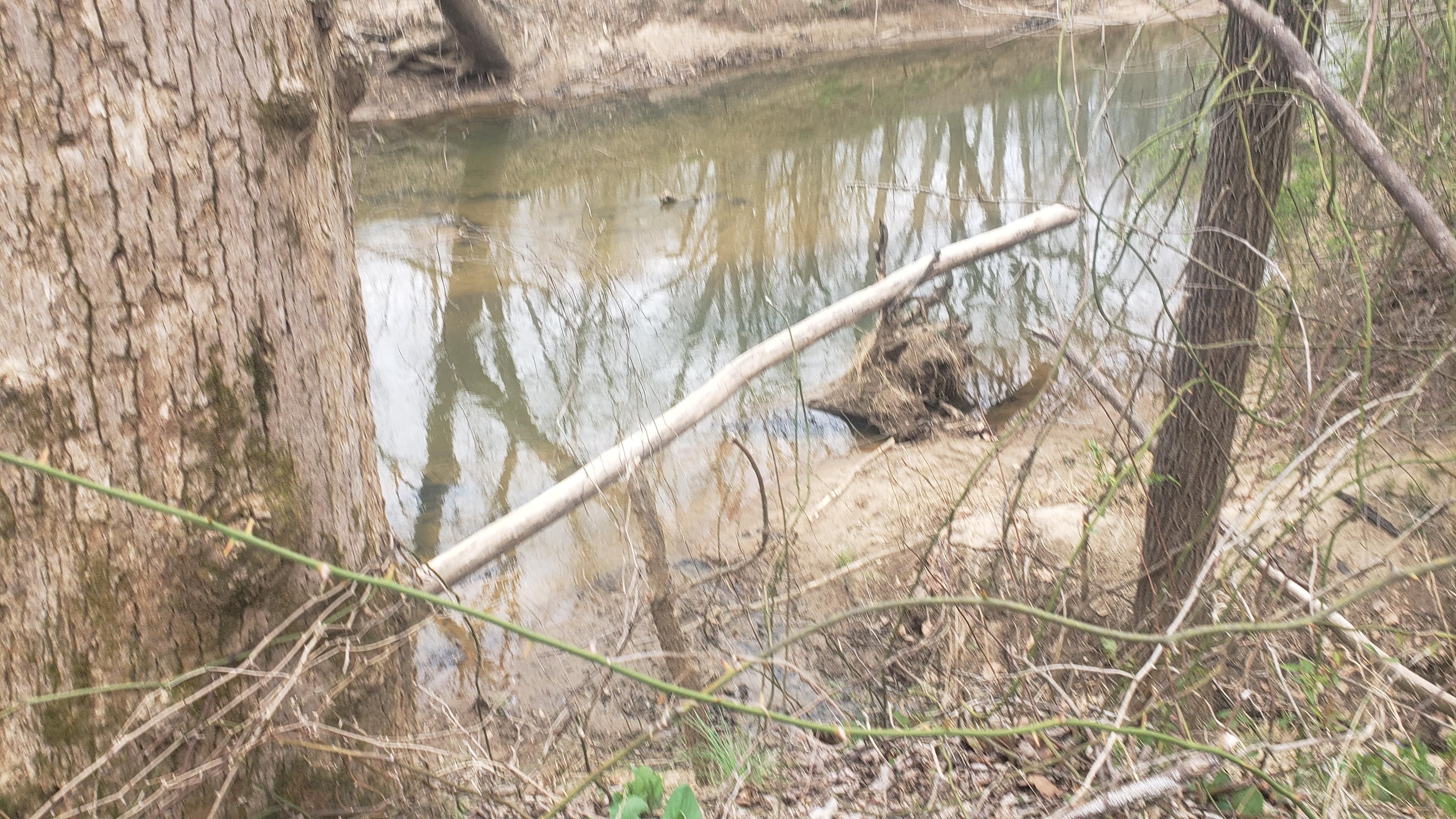 Farmville, Buckingham County, VA Recreational Property, Undeveloped