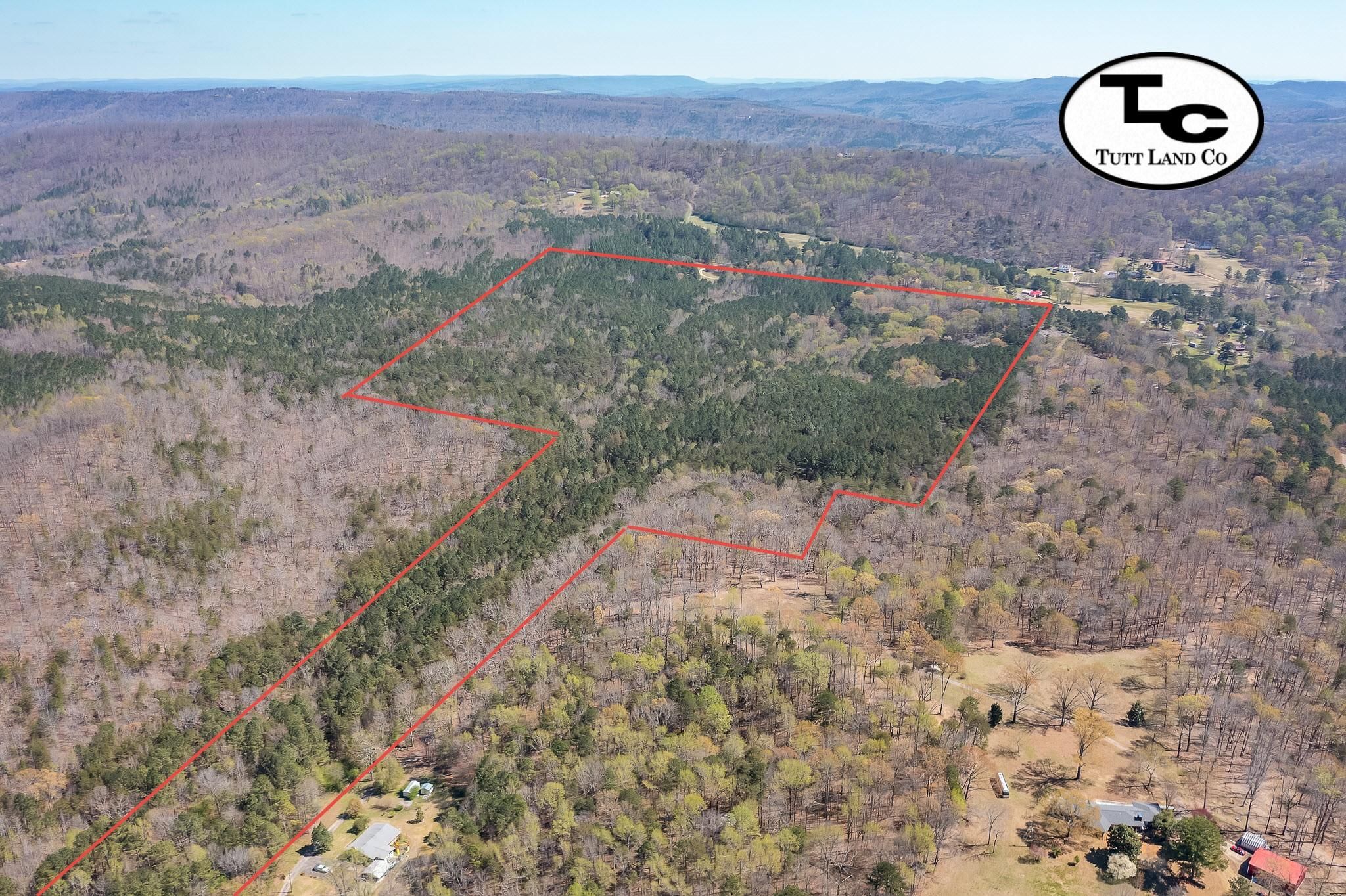 Pinson, Jefferson County, AL Timberland Property, Undeveloped Land