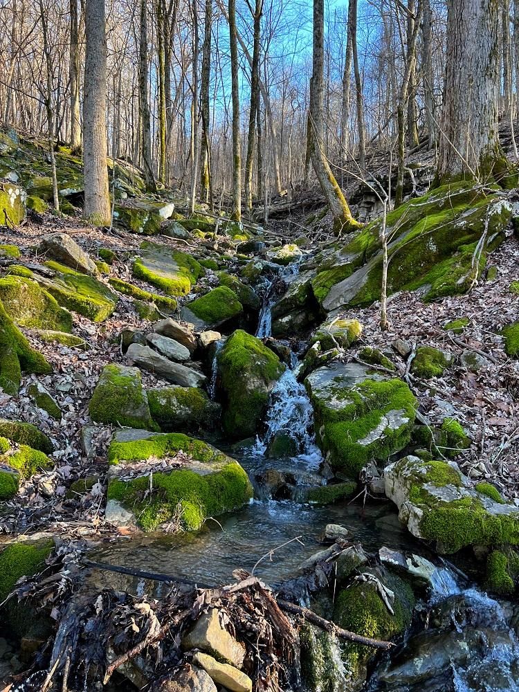 Alabama 117, Flat Rock, AL 35966 LandWatch