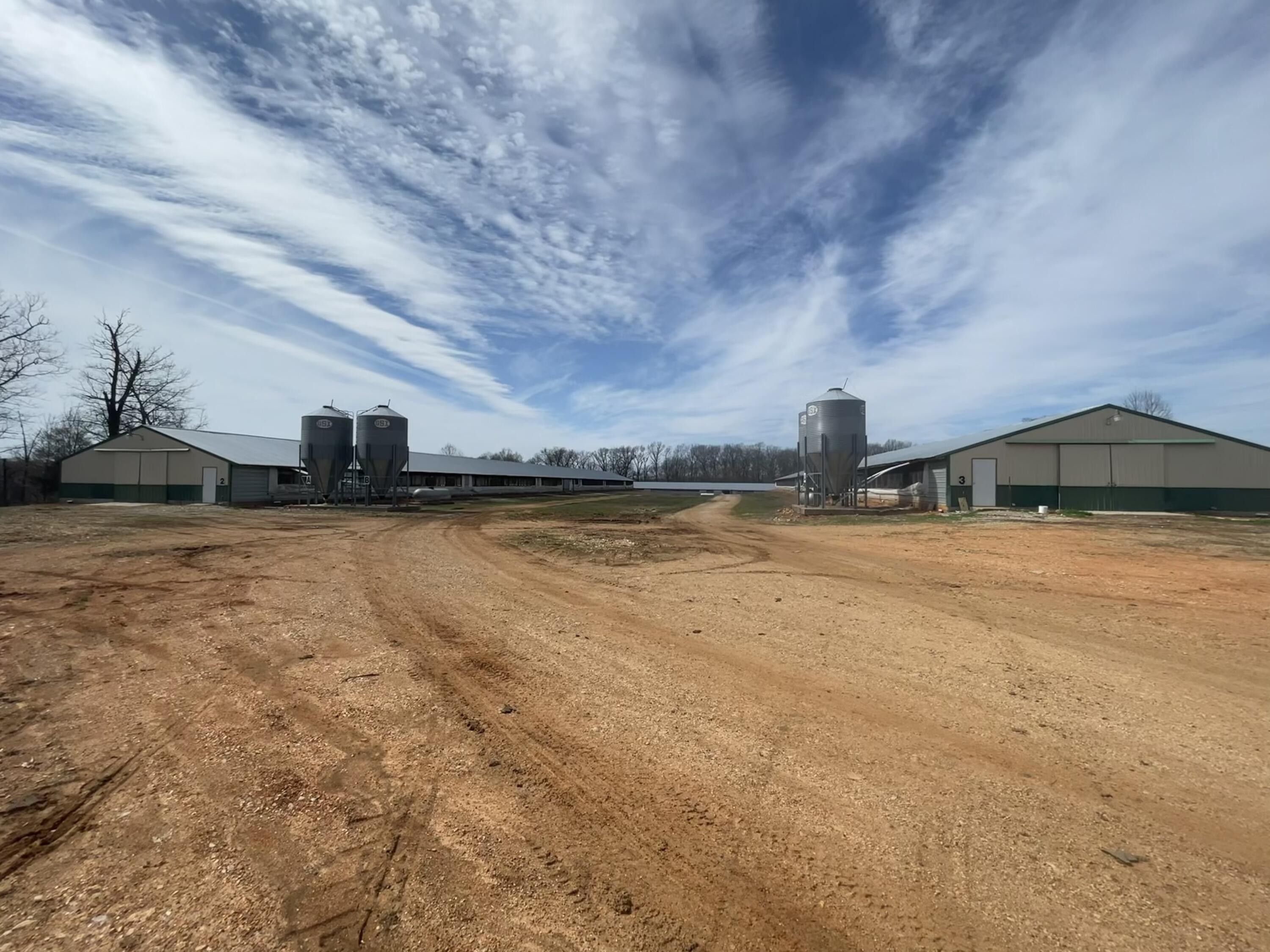 Washburn, Barry County, MO Farms and Ranches for sale Property ID