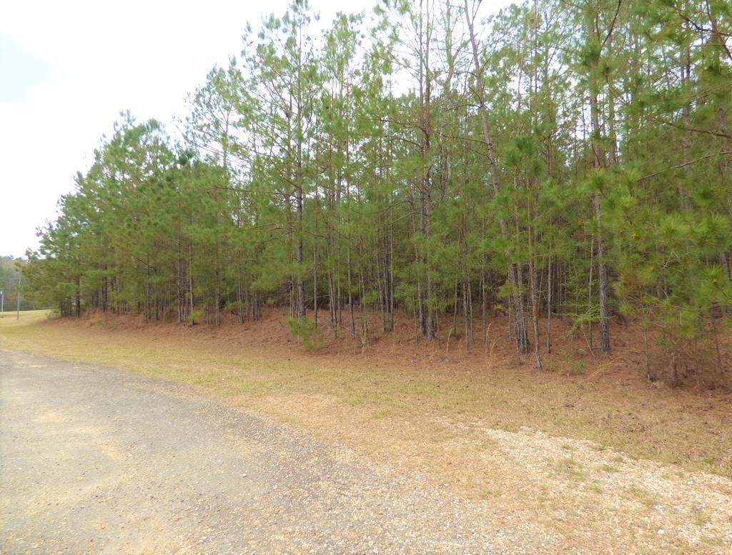 Pike County, MS Undeveloped Land for sale Property ID