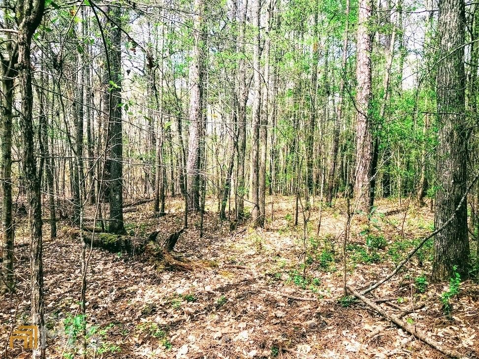 Franklin, Heard County, GA Undeveloped Land for sale Property ID