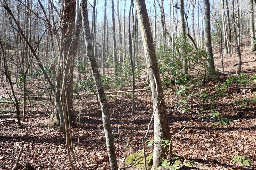 Jasper, Pickens County, GA for sale Property ID 409698389 LandWatch