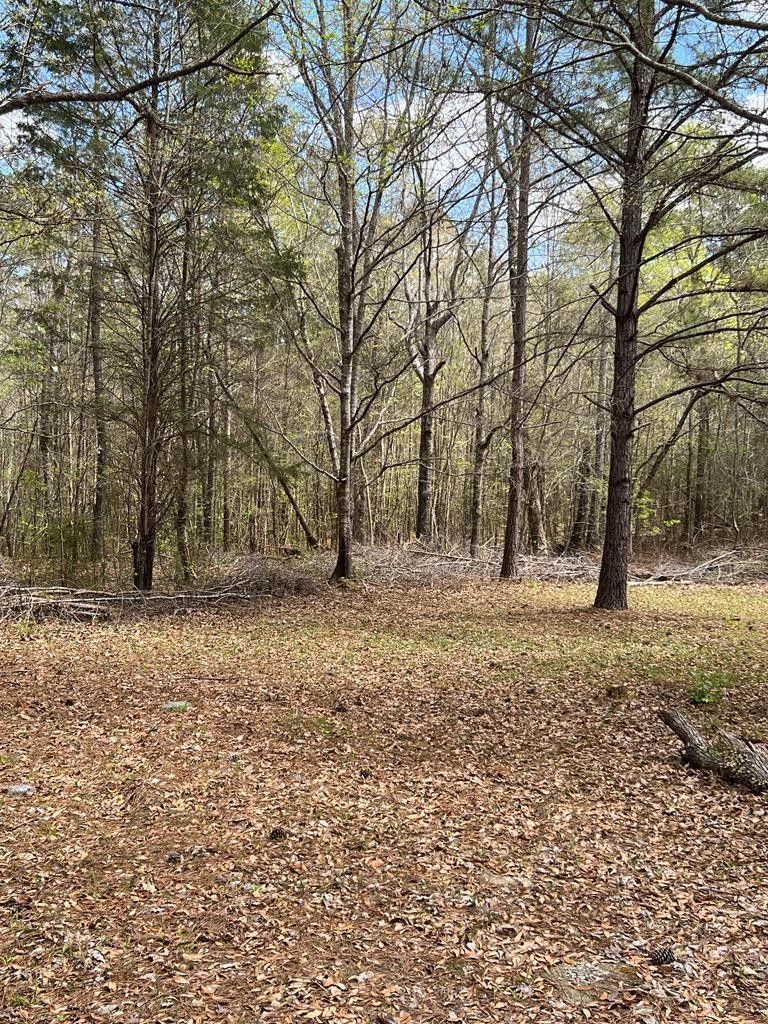 Fortson, Harris County, GA Undeveloped Land for sale Property ID