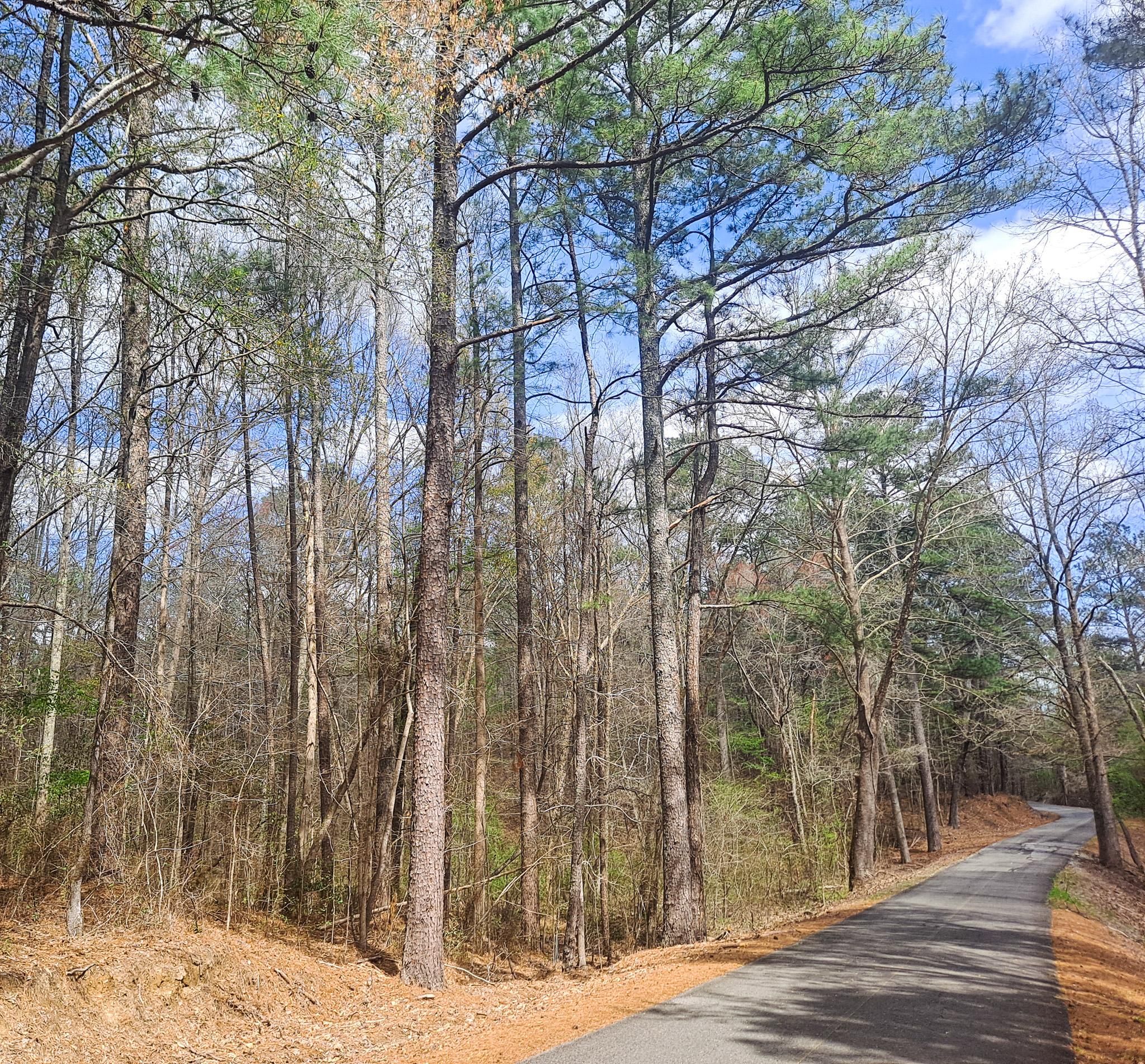 Nauvoo, Walker County, AL Recreational Property, Timberland Property, Hunting Property for sale