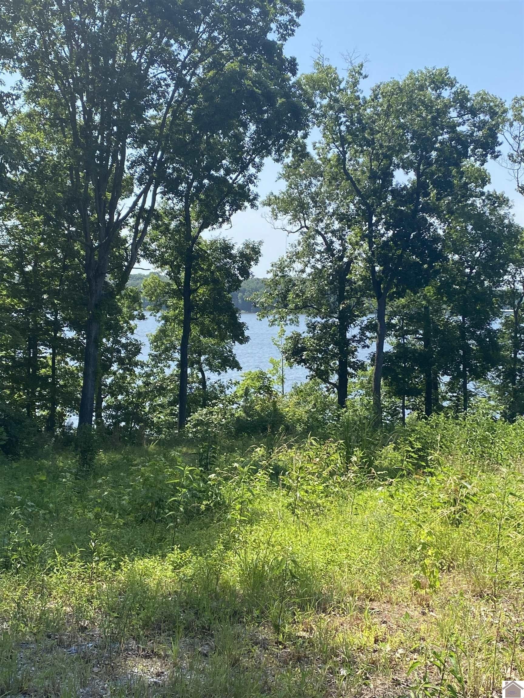 Benton, Marshall County, KY Undeveloped Land, Lakefront Property