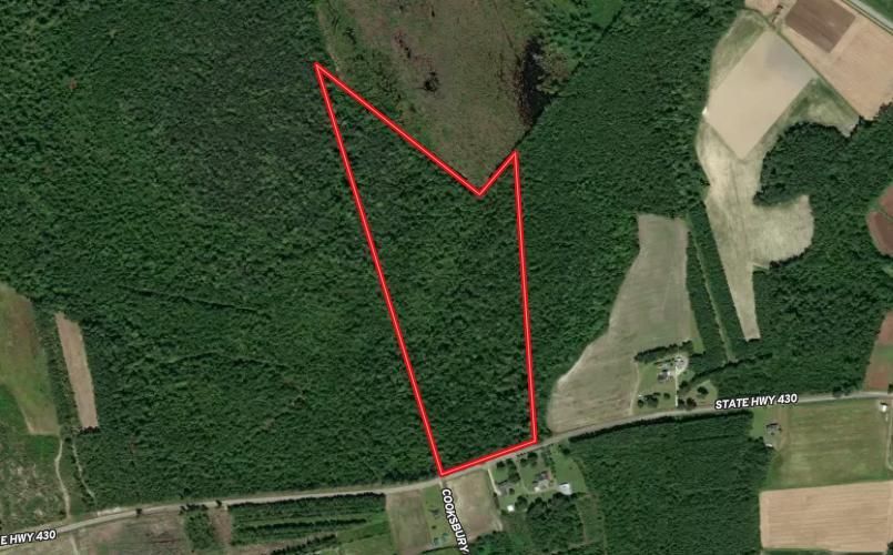 Nichols, Horry County, SC Recreational Property, Timberland Property