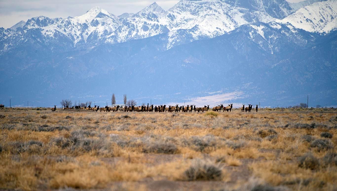 Mosca, Alamosa County, CO Farms and Ranches, Commercial Property, Homesites for sale Property ID