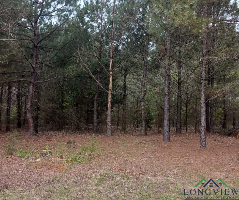 Winona, Smith County, TX Farms and Ranches, Homesites for sale Property ID 416105987 LandWatch