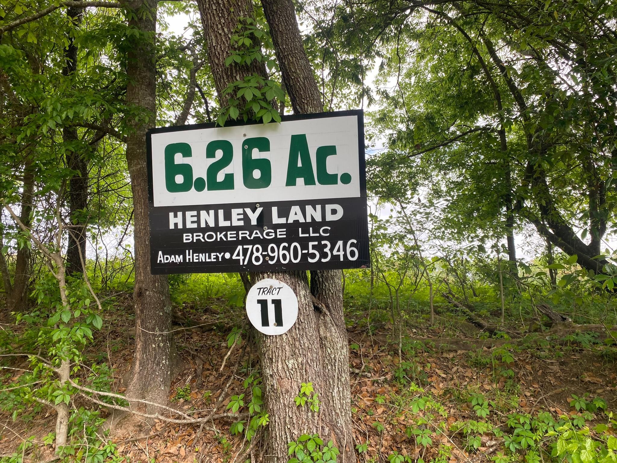 6.3 acres in Damascus, GA, 39841 LandWatch