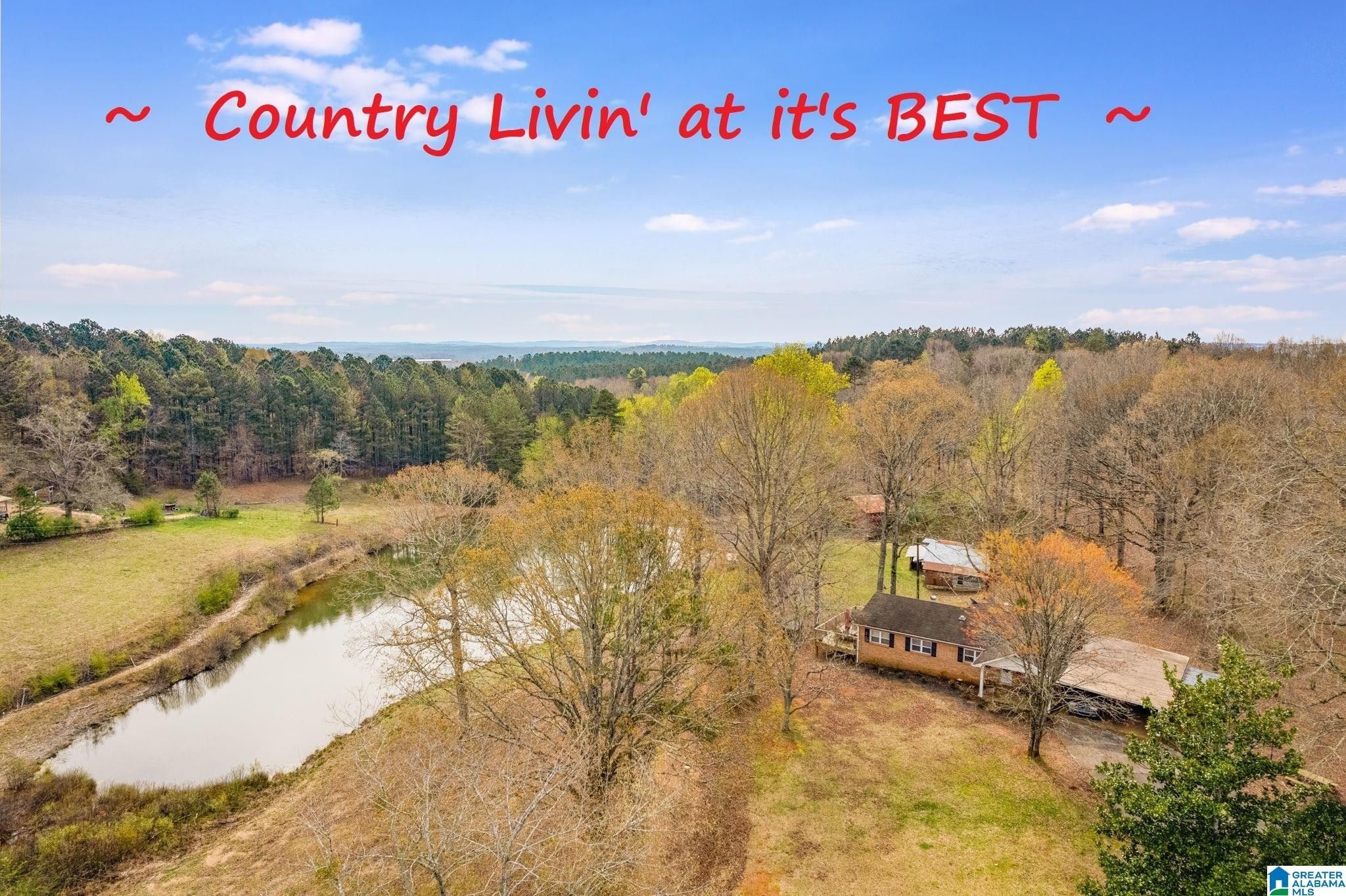 Delta, Clay County, AL House for sale Property ID 416107254 LandWatch