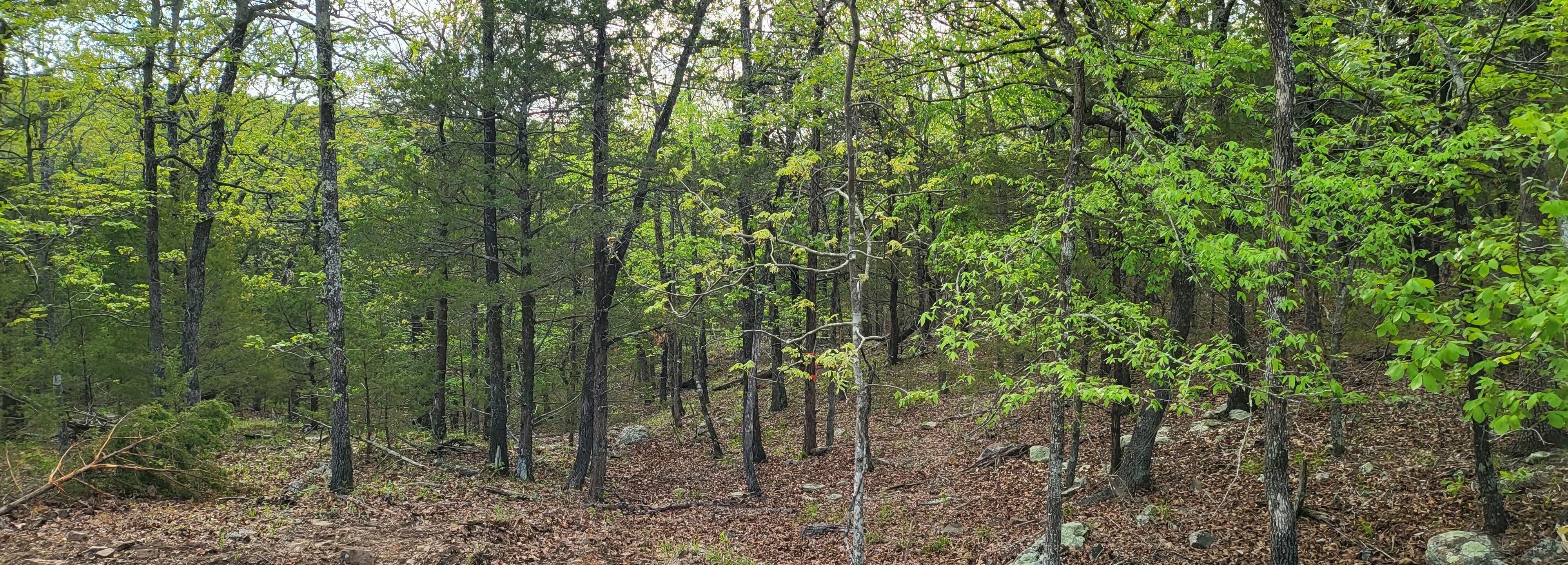 Mcalester, Pittsburg County, OK Recreational Property, Undeveloped Land