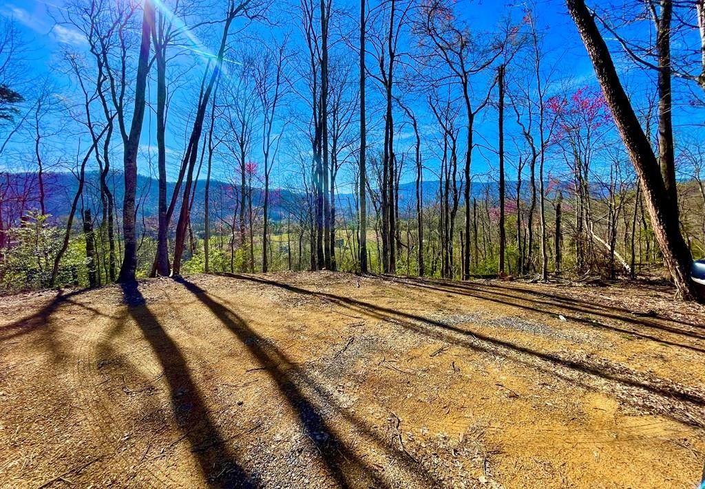 Cosby, Cocke County, TN Undeveloped Land for sale Property ID