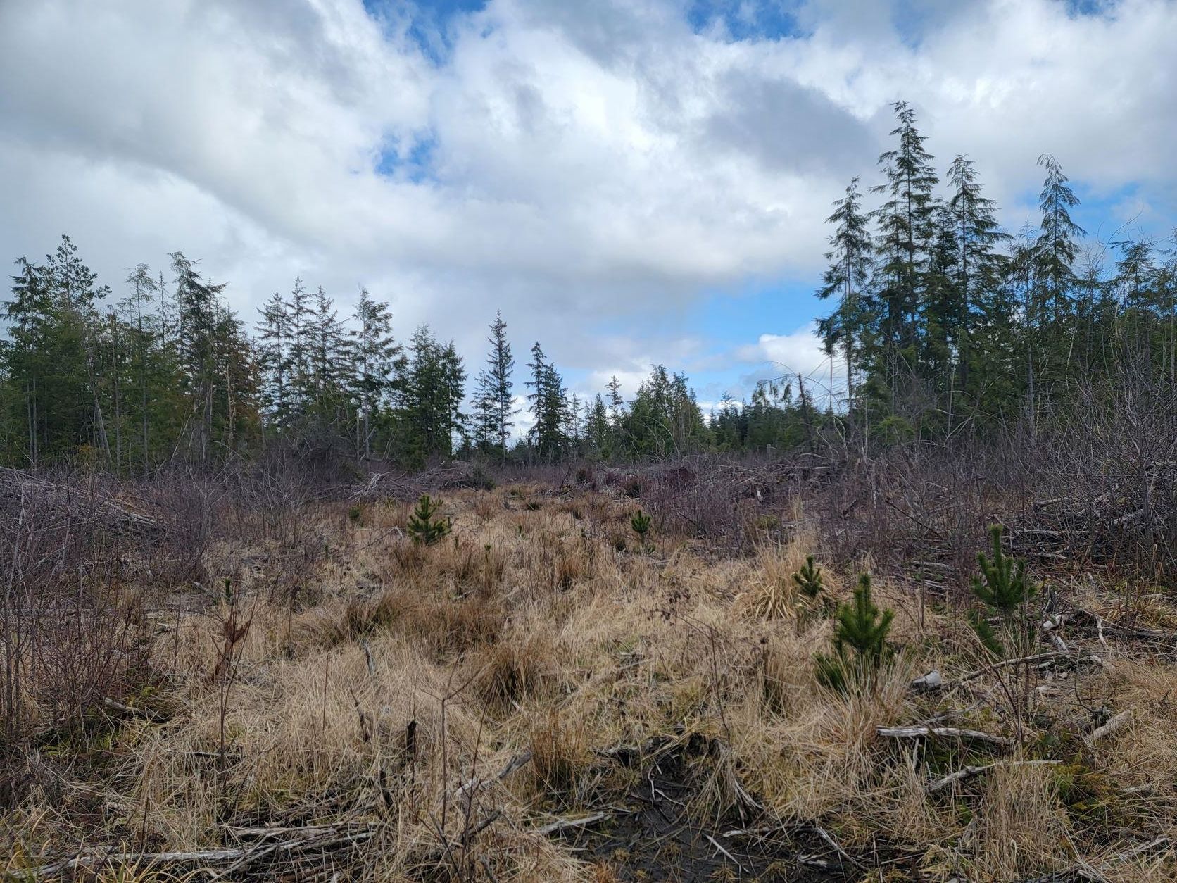 Copalis Crossing, Grays Harbor County, WA Recreational Property