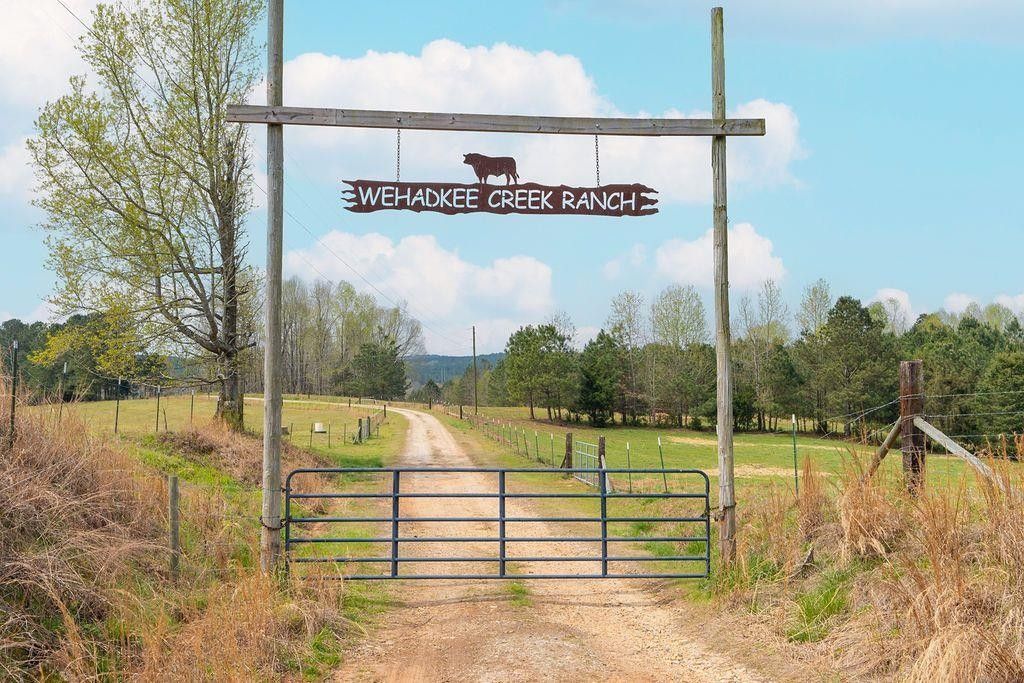 Franklin, Heard County, GA Undeveloped Land, House for sale Property ID