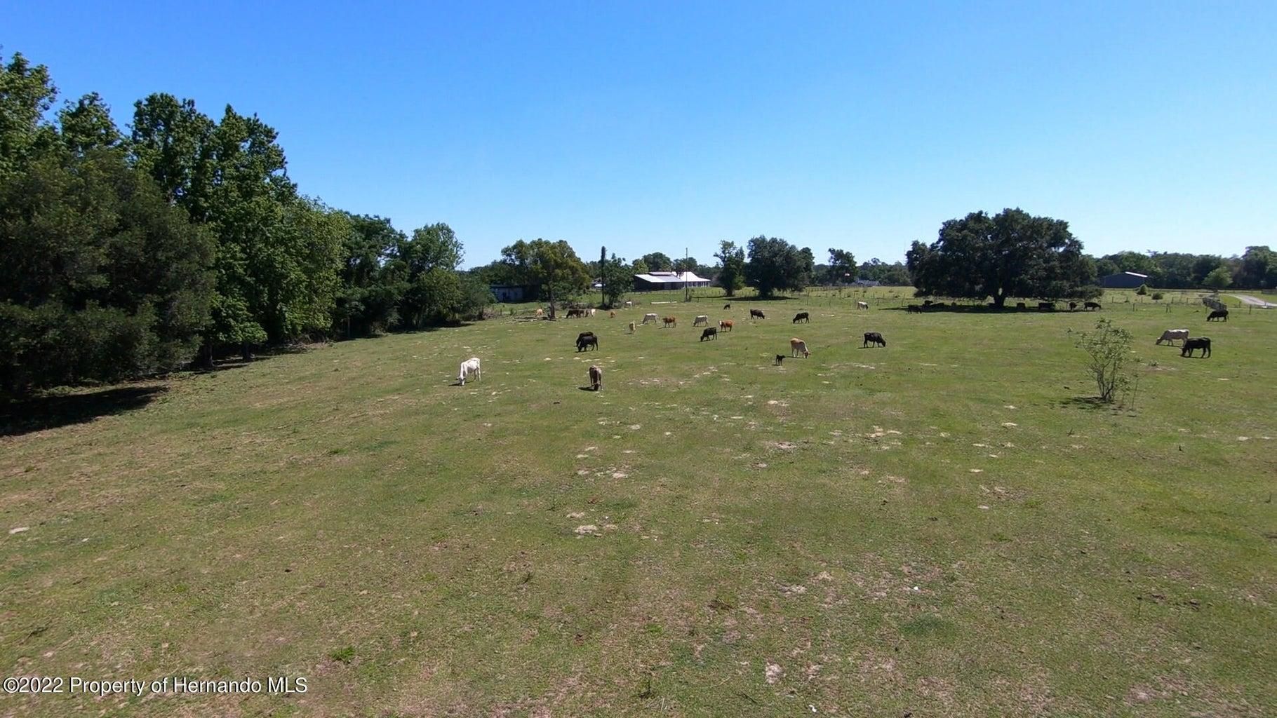 Hayman Road, Brooksville, FL 34602 MLS 2228730 LandWatch