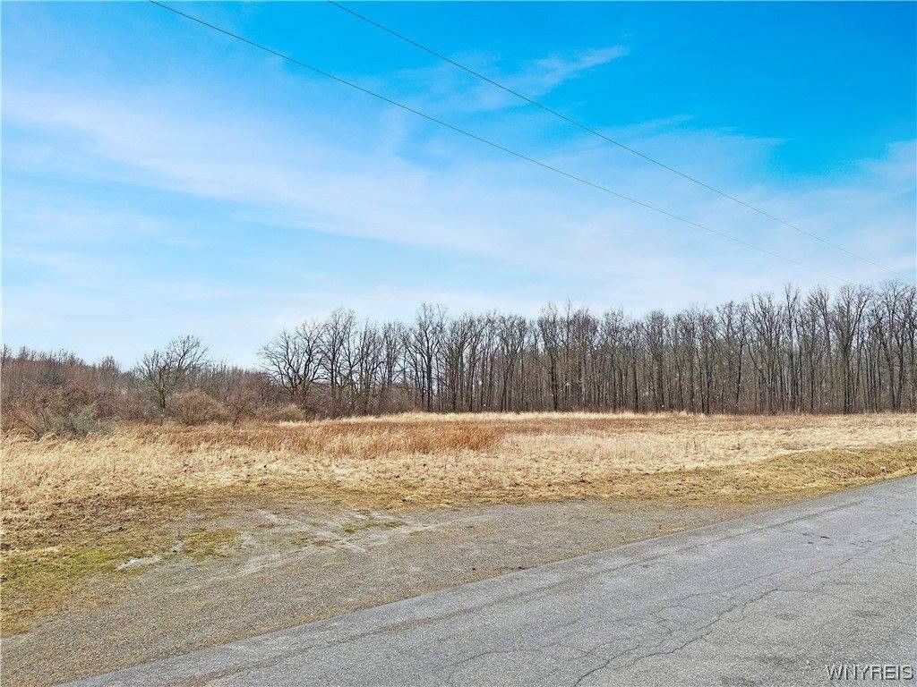 Perry, Wyoming County, NY Farms and Ranches, Homesites for sale