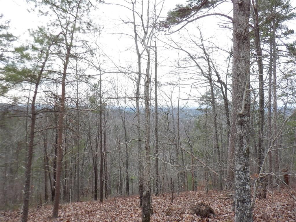 Ranger, Gordon County, GA Farms and Ranches, Homesites for sale