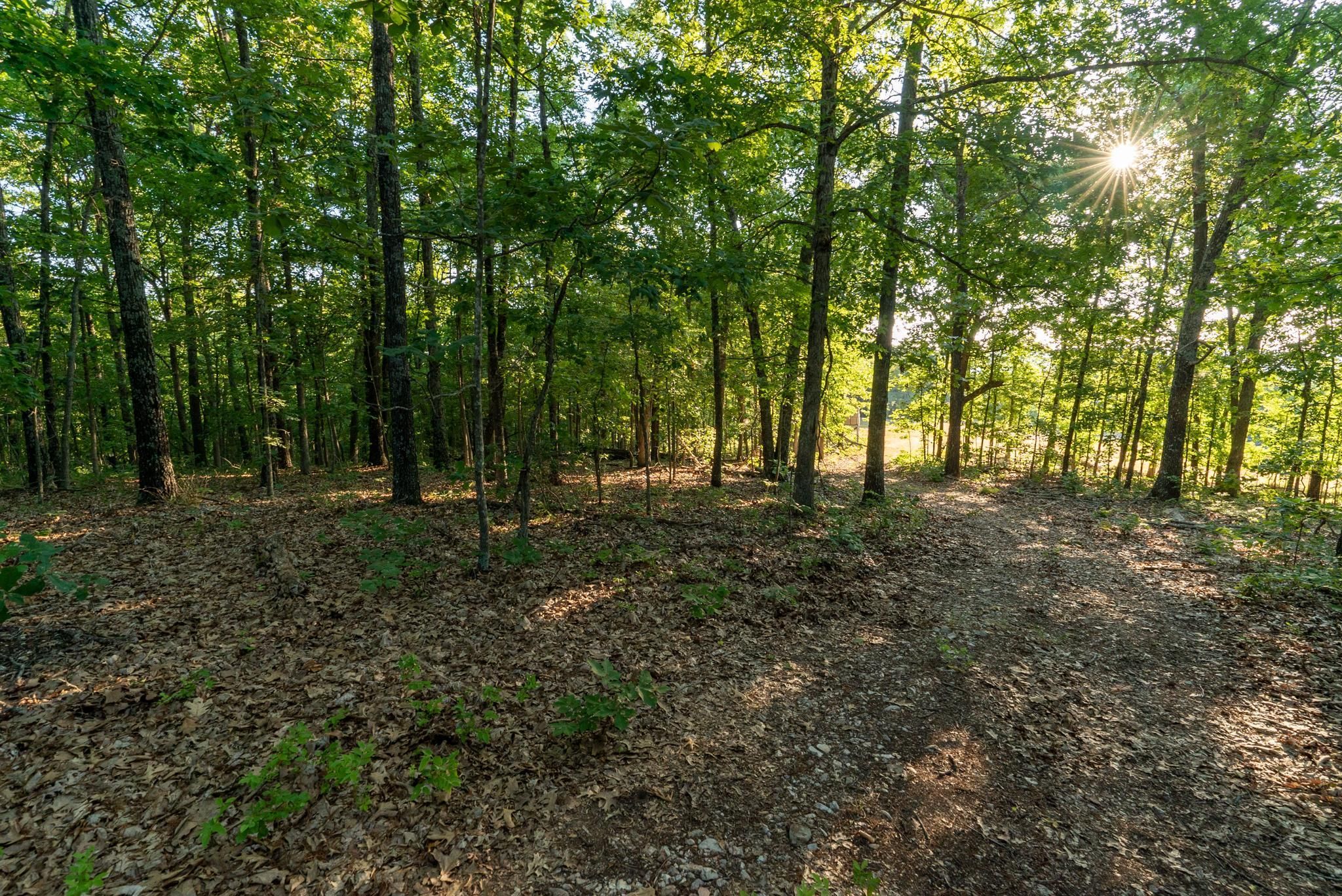 Dora, Douglas County, MO Recreational Property, Timberland Property, Hunting Property for sale