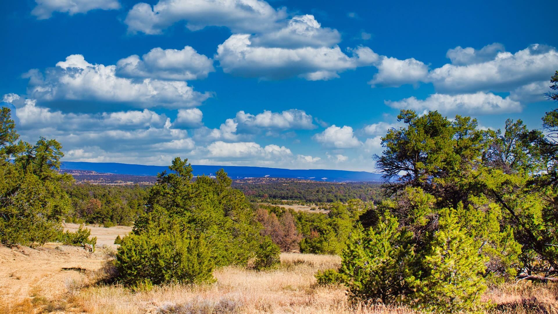 Ramah, Cibola County, NM Recreational Property, Undeveloped Land