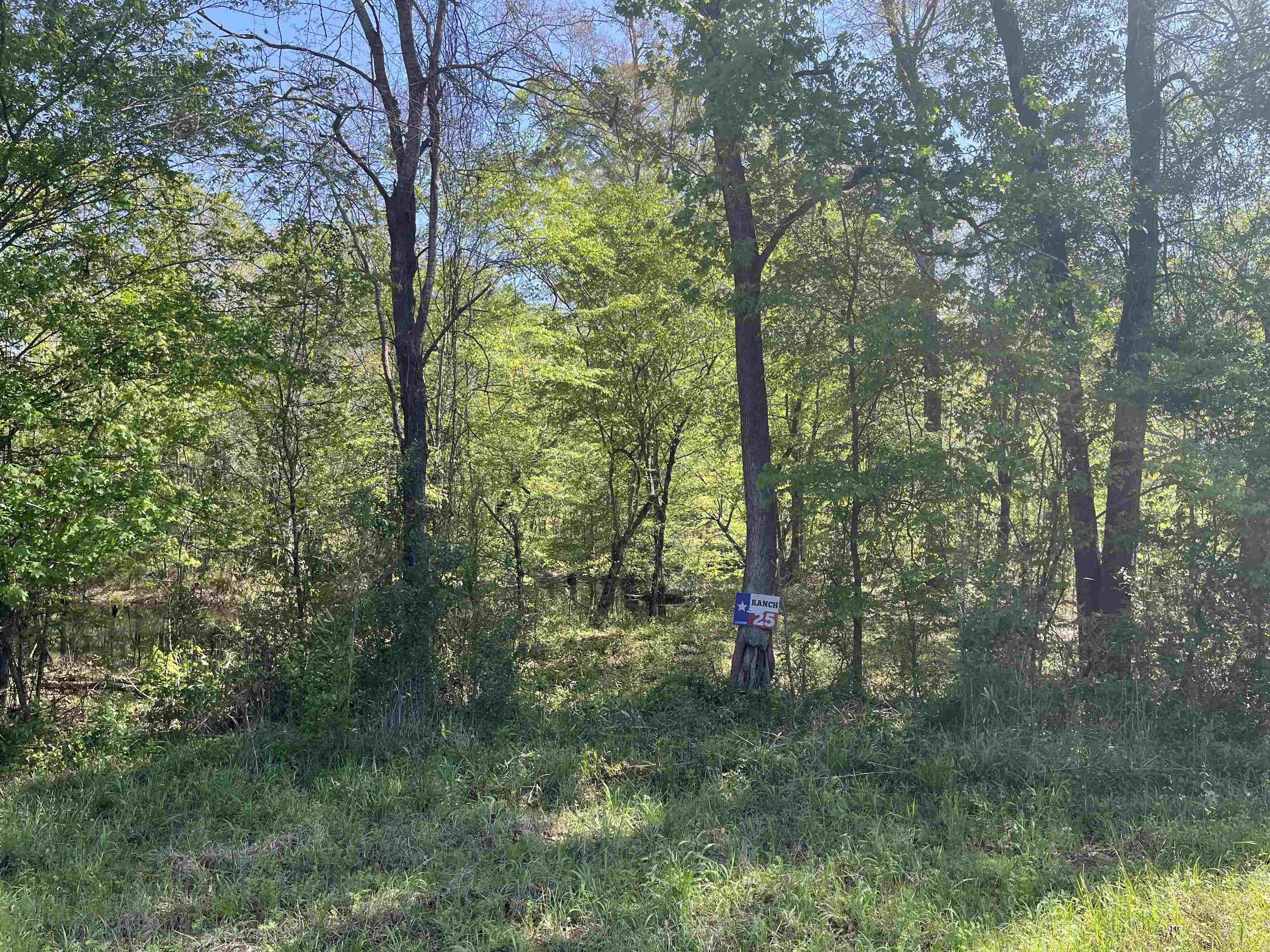 Pineland, Sabine County, TX Undeveloped Land for sale Property ID