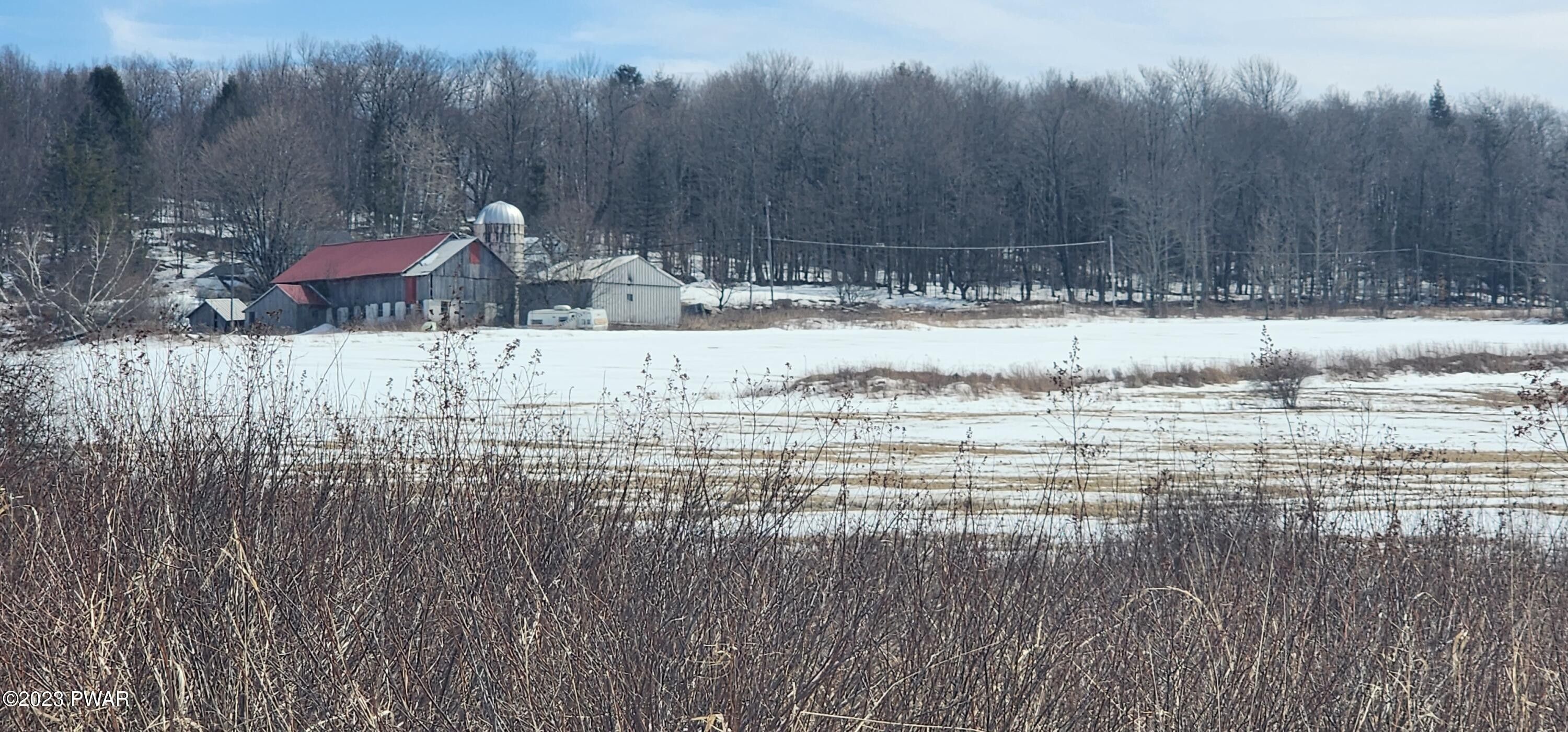 Pleasant Mount, Wayne County, PA Undeveloped Land for sale Property ID