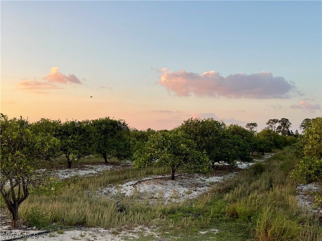 Labelle, Hendry County, FL Undeveloped Land, Lakefront Property