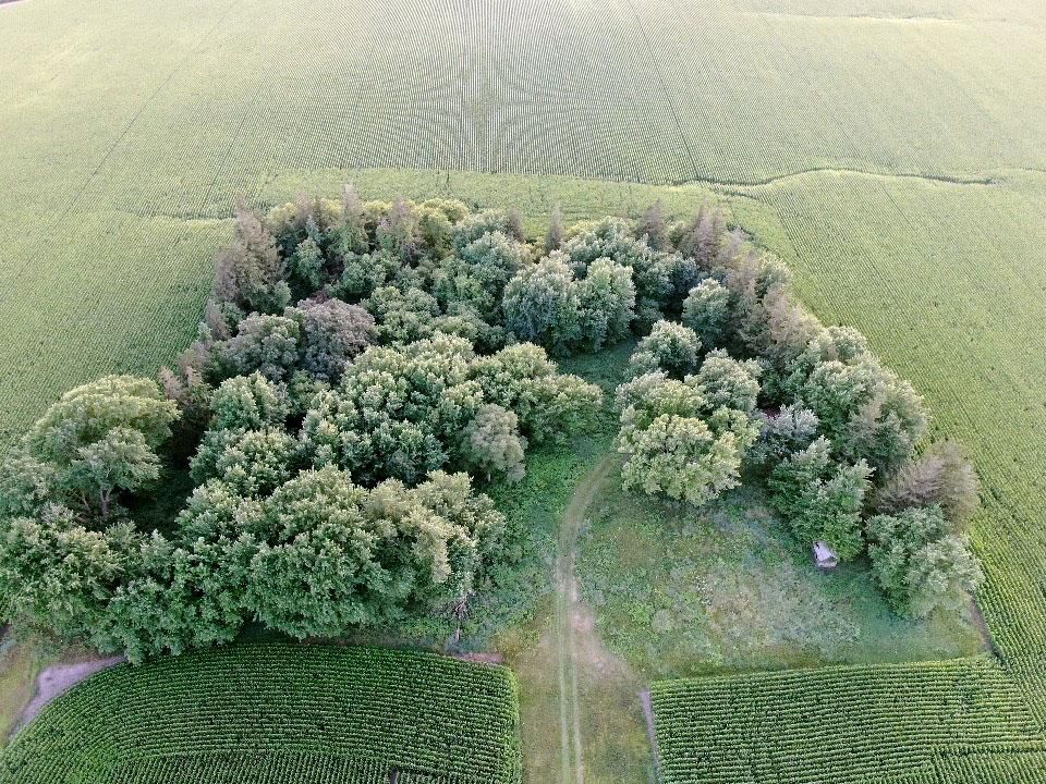 Kenyon, Goodhue County, MN Undeveloped Land, Homesites for sale