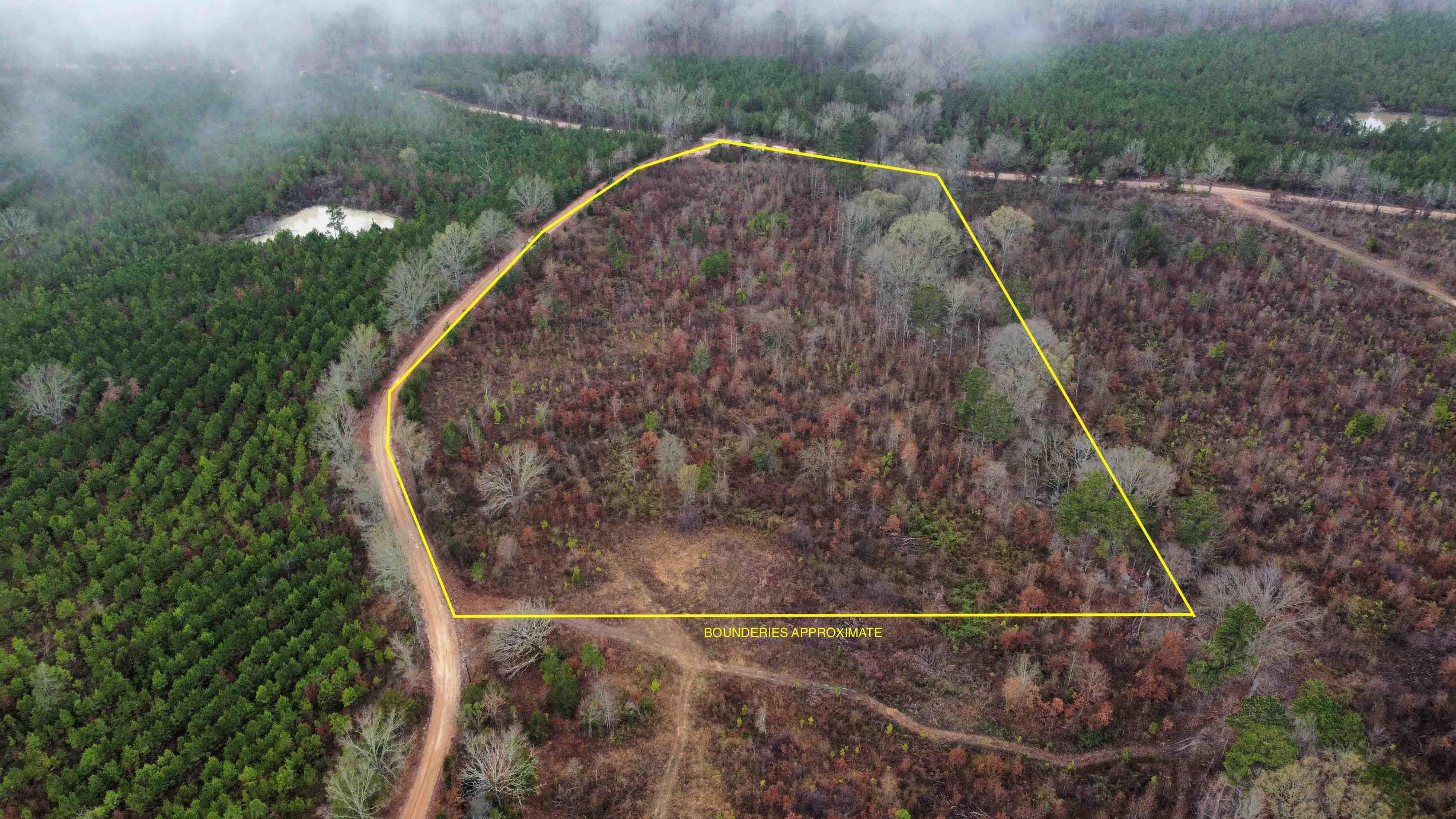 De Kalb, Bowie County, TX Recreational Property, Undeveloped Land for