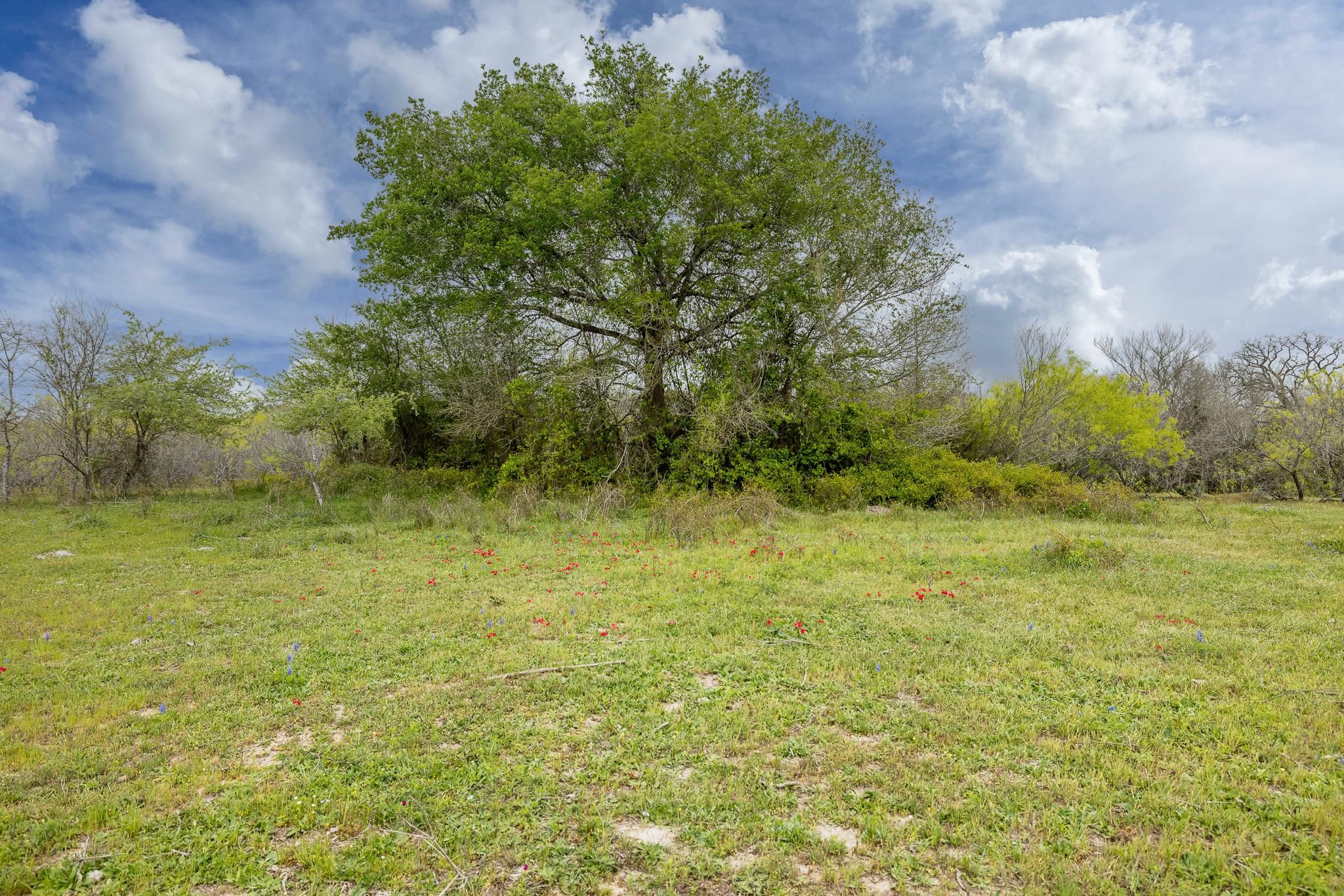 000 County Road 405, Waelder, TX 78959 MLS 501119 LandWatch